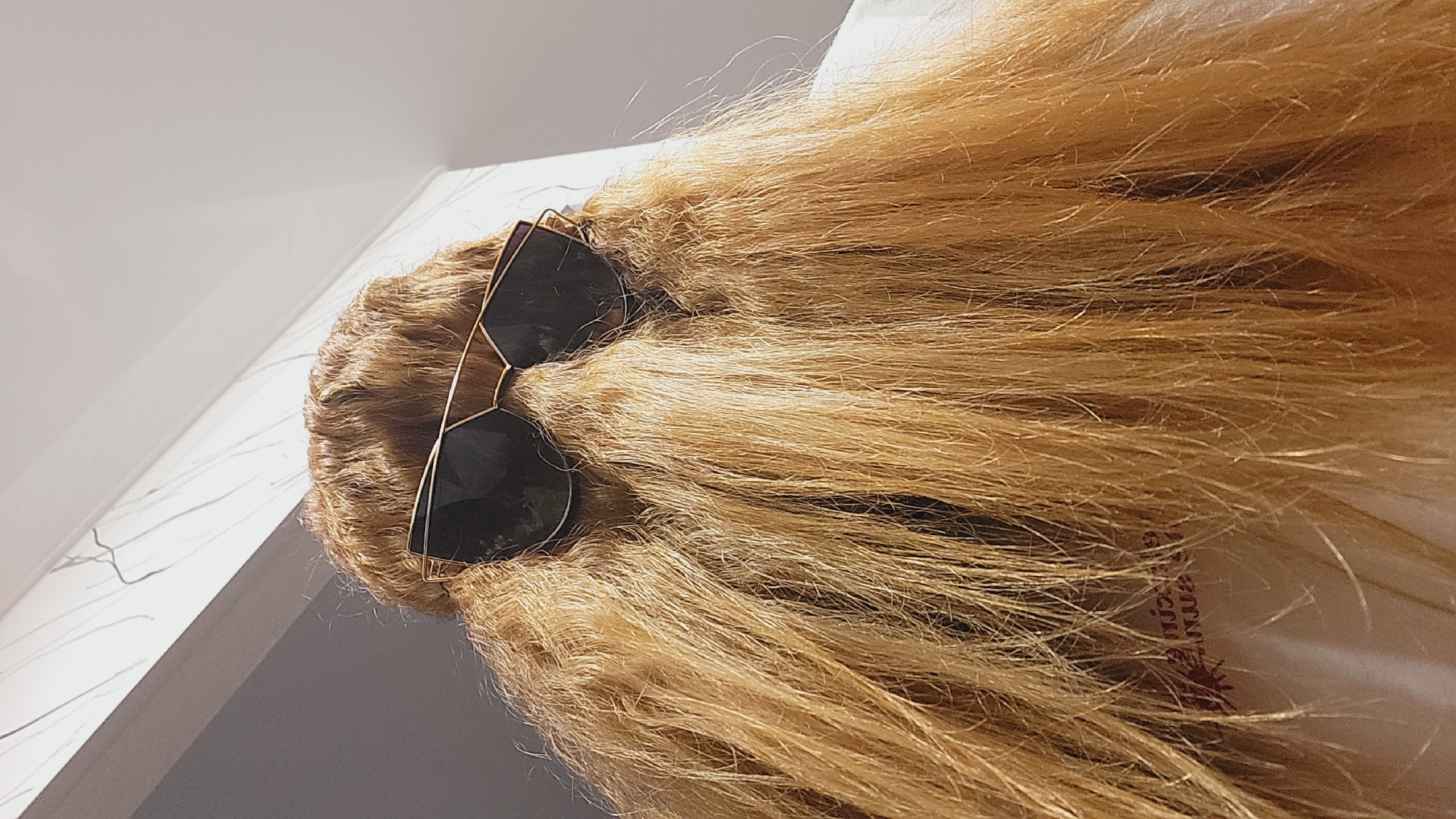 The image shows a person's head with long, wavy, light brown or blonde hair. A pair of sunglasses with a gold frame and dark lenses are positioned on top of the head, obscuring the person's face. The head is tilted, with the hair fanning out towards the right side of the image. The background includes a white wall or surface with a faint marble-like pattern on the left, and a glimpse of a white garment on the right. There is no visible indication of the location being Chaikovsky, Russia or any other specific location.