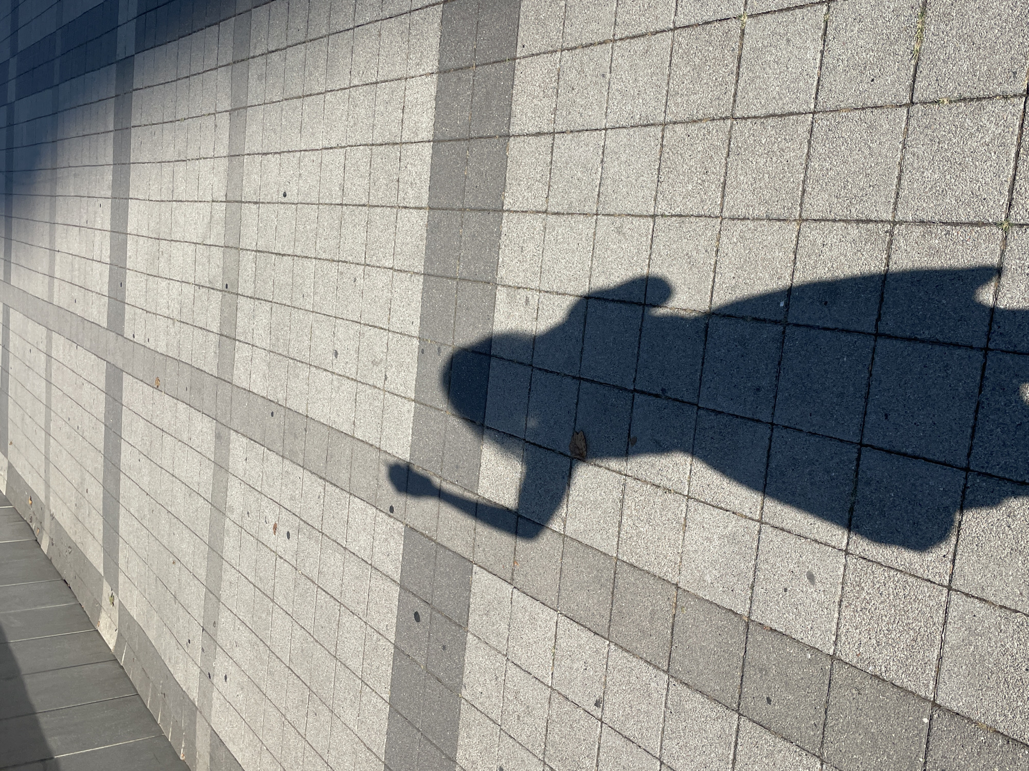 A person's shadow is cast on a tiled sidewalk in Gaponovskii, Russia. The shadow depicts a person with their right arm raised, fist clenched. The sidewalk is composed of square concrete tiles, with a darker band of tiles running diagonally across the scene. A concrete wall runs along the left side of the image, casting a shadow itself. The lighting suggests it is daytime, with the sun casting long shadows.