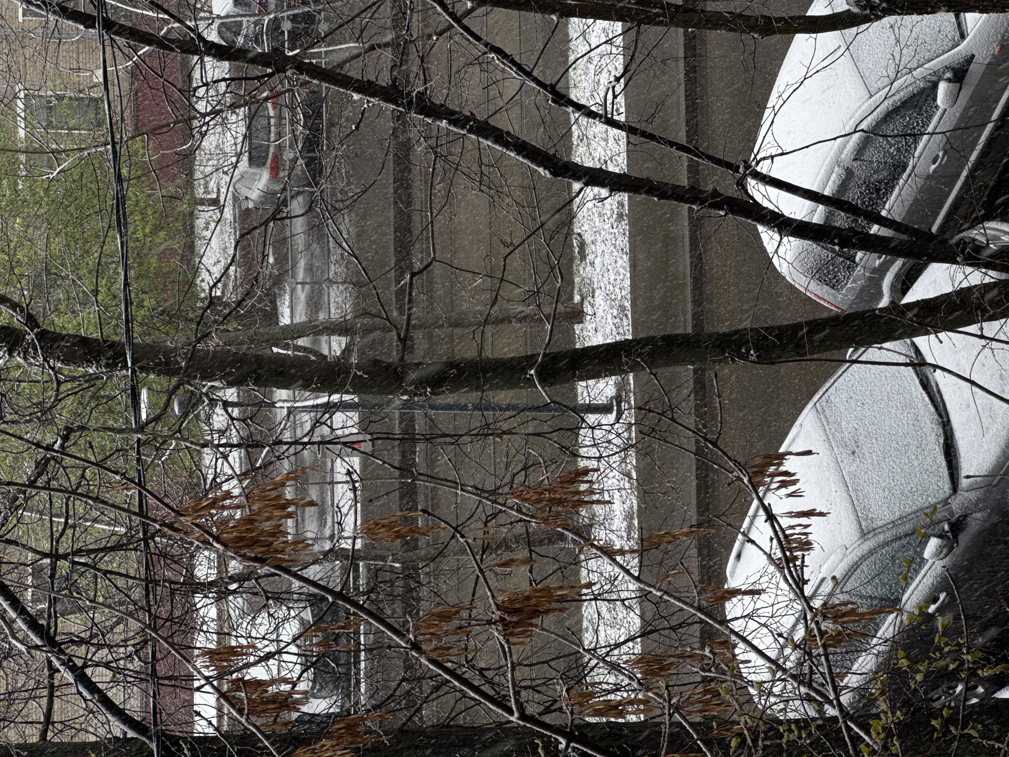 The image depicts a snowy urban scene, likely in the vicinity of Khimki, Russia, given the context. A building, possibly a residential or commercial structure, is visible in the background, its architecture indicative of typical urban construction. The foreground features bare tree branches, some covered in snow. Two parked cars are partially visible to the right, heavily dusted with snow. The overall atmosphere suggests a cold, snowy winter day. The scene is still and devoid of human activity.