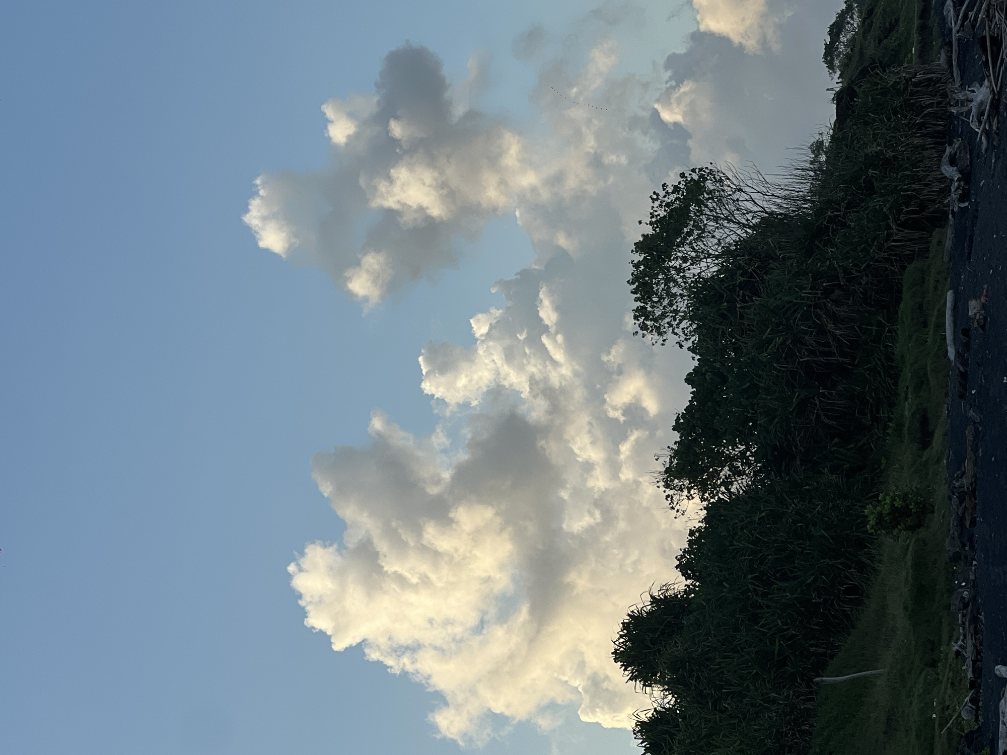 The image depicts a partially cloudy sky above a coastal landscape in an unknown city in Indonesia. The sky features cumulus clouds, with a blue sky visible in the gaps. The foreground shows dense, green vegetation, including trees and grass, growing along the edge. There is a dark, possibly rocky or sandy, surface in the lower right corner.