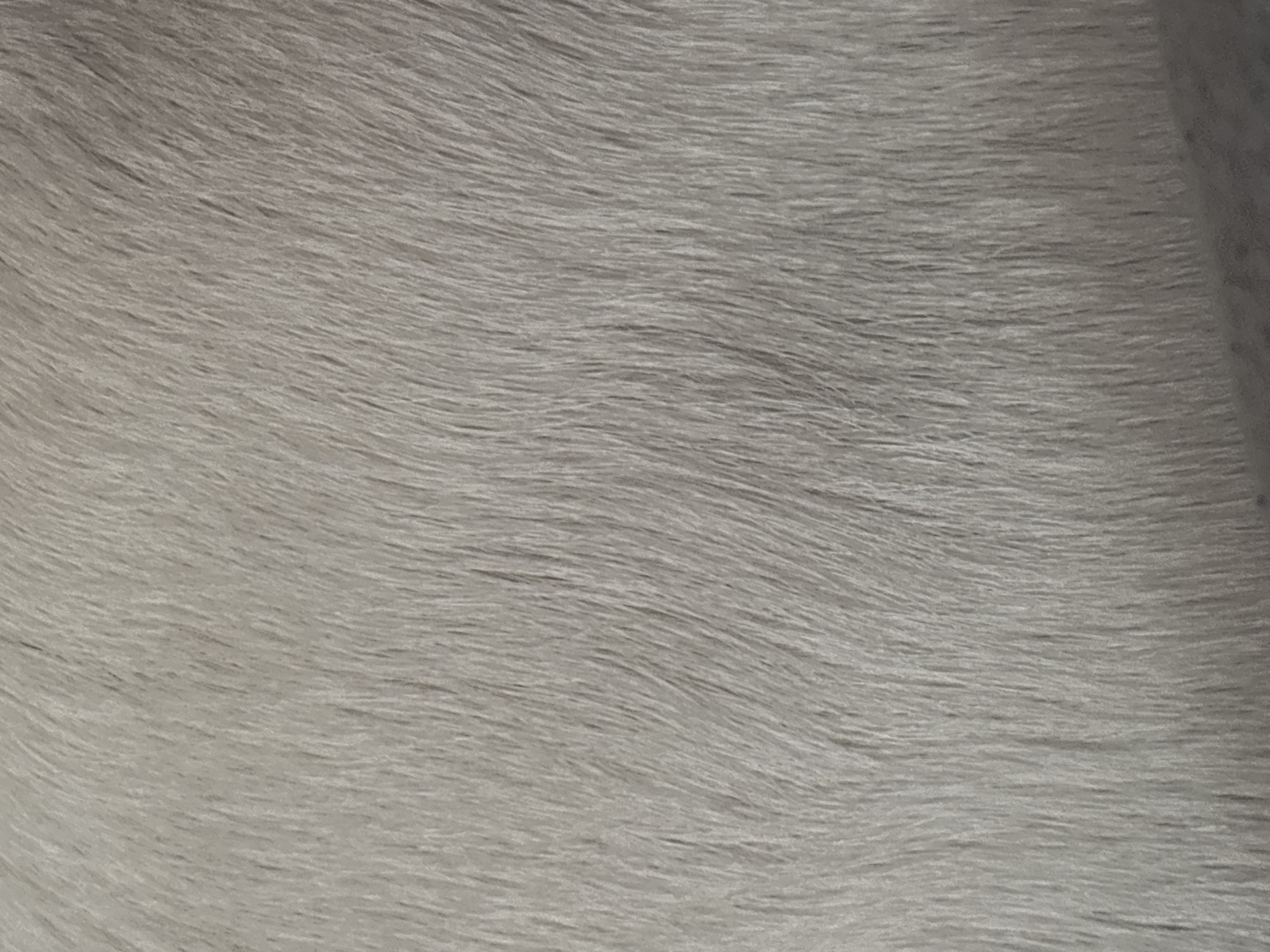 The image shows a close-up, textured view of a light grey material that appears to be faux fur or shaggy fabric. The texture is characterized by fine, vertical strands with a soft, wispy appearance. There are no discernible people, objects, actions, or interactions visible. The environment is not identifiable, and there is no information to suggest a location in the city of Unknown, Russia.