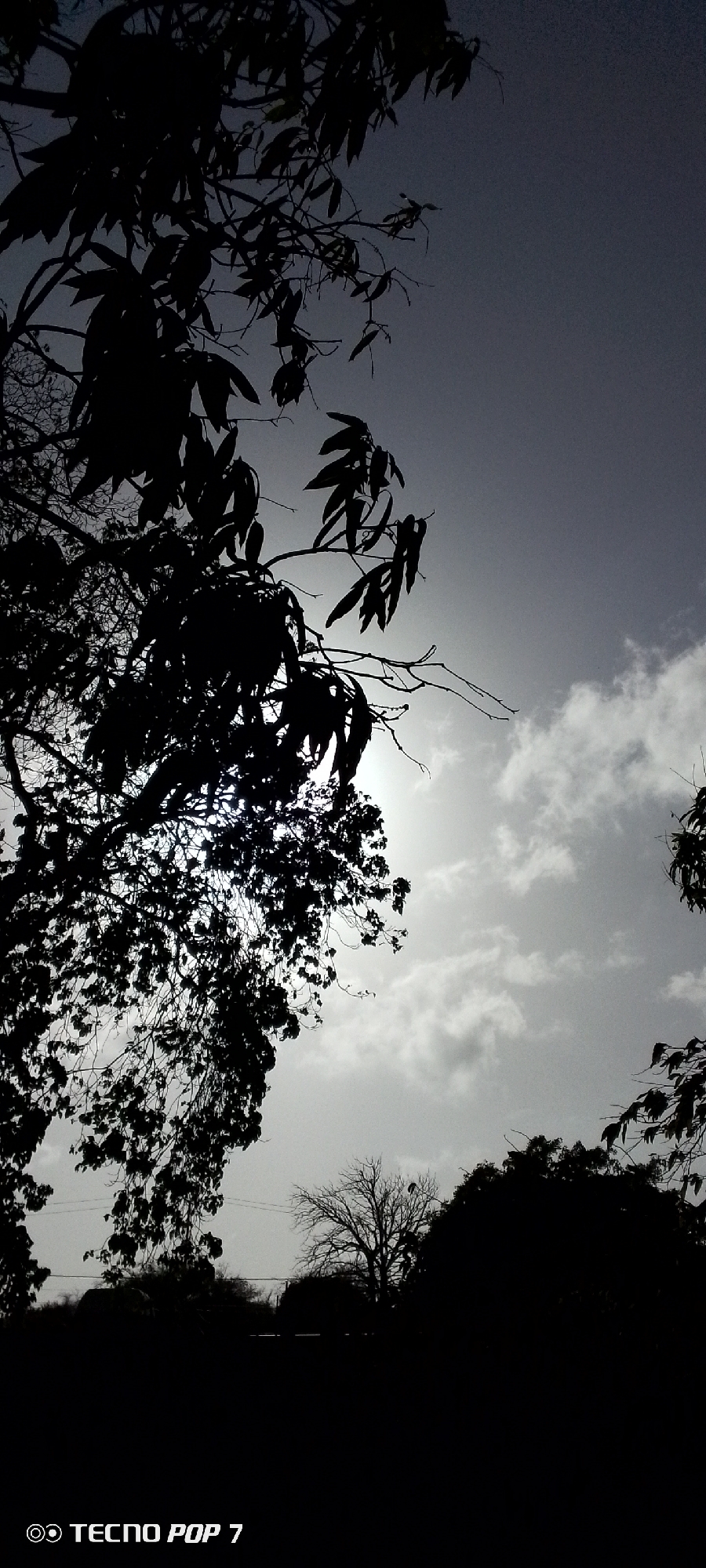 The photograph, taken in Altagracia, Venezuela, depicts a stark contrast between the dark silhouette of trees and branches against a light, cloudy sky. The sky is a pale grey with scattered white clouds. The foreground is obscured by the dark shapes of trees and shrubs, with a leafless tree visible amidst the shadows. Leaves are sharply silhouetted against the brighter sky. The light source, likely the sun, is obscured by the trees, causing a bright halo effect. The bottom of the frame is almost completely dark, with the "TECNO POP 7" watermark visible. The scene lacks any signs of human presence or activity.