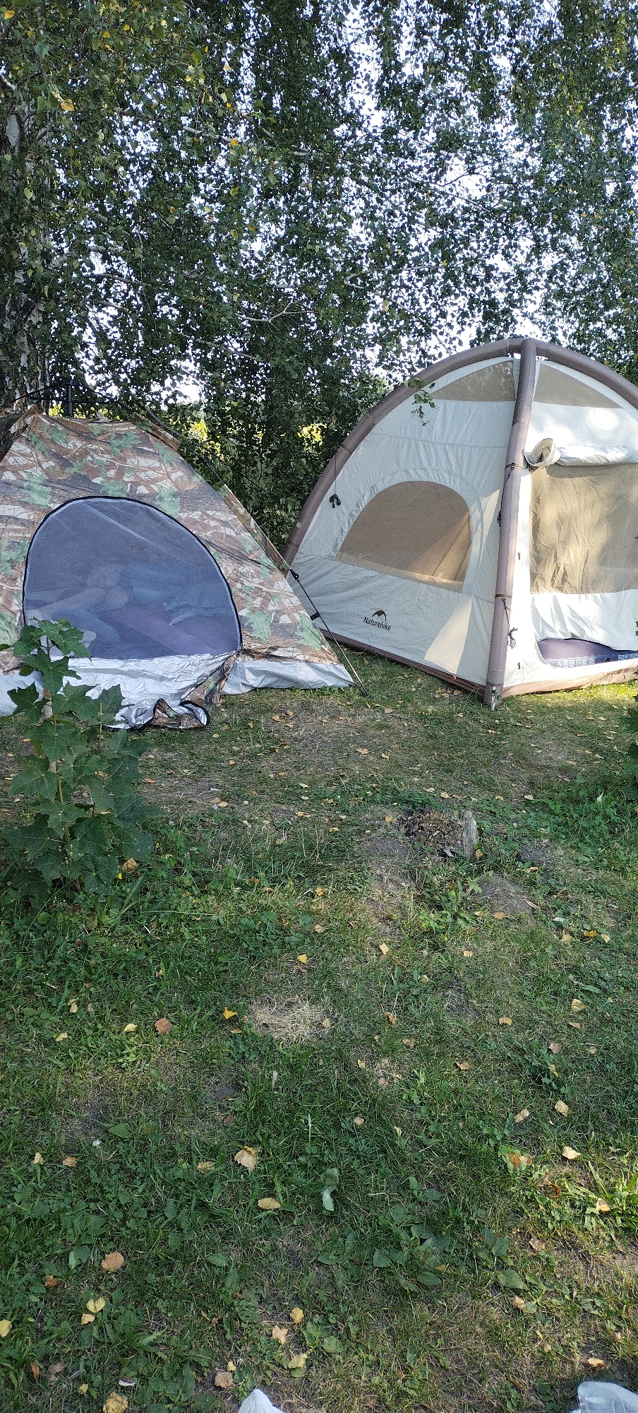 Two tents are set up on a grassy area with fallen leaves. The tent on the left is camouflage-patterned with a blue mesh door. The tent on the right is a lighter color with brown accents and a large window. Both tents are unoccupied. Trees with green leaves form a canopy overhead, and sunlight filters through the branches. The ground is covered in green grass, with patches of dirt and a small tree sapling on the left. In the foreground, the grass is littered with yellow and brown leaves. The scene appears to be a campsite.