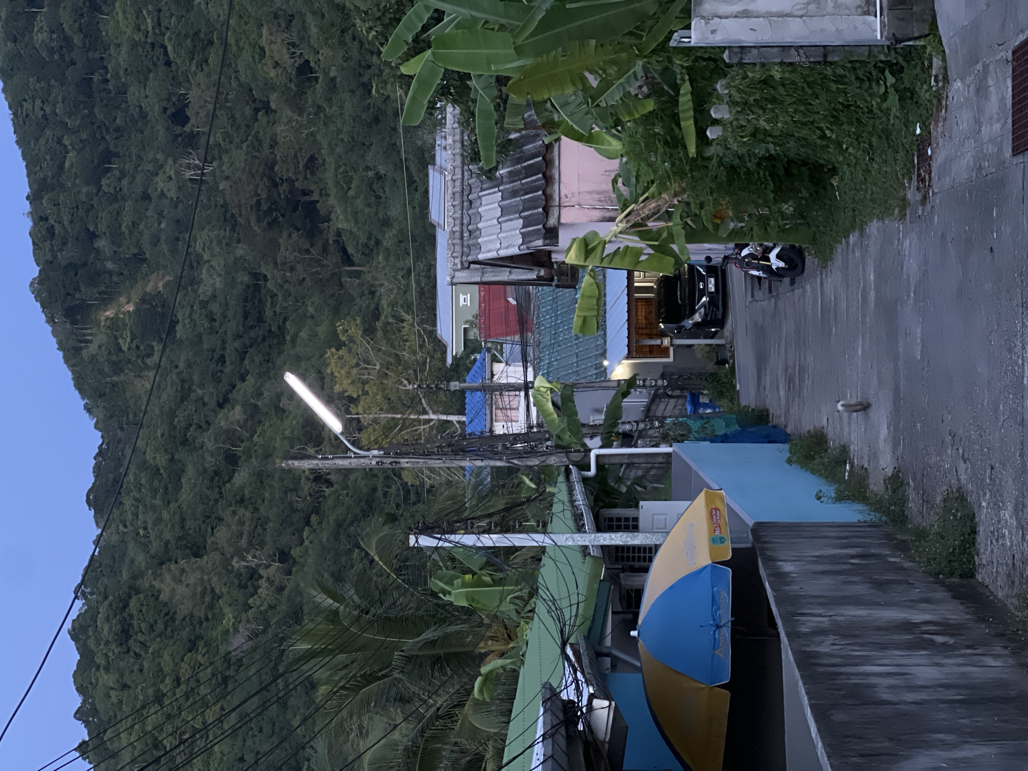 This image depicts a narrow, paved road in an unknown city location. On the right side of the road, a wall is visible, with an upside-down yellow and blue object leaning against it. Further up the road, a black car and a motorcycle are parked next to each other in front of a house. The houses are various colors, including pink, red, and blue, with roofs of different materials. Lush vegetation, including banana trees, is growing around the houses and along the road. On the left, a steep, densely forested hillside rises up. Power lines and a street light are also visible. The lighting suggests it is either early morning or late evening.