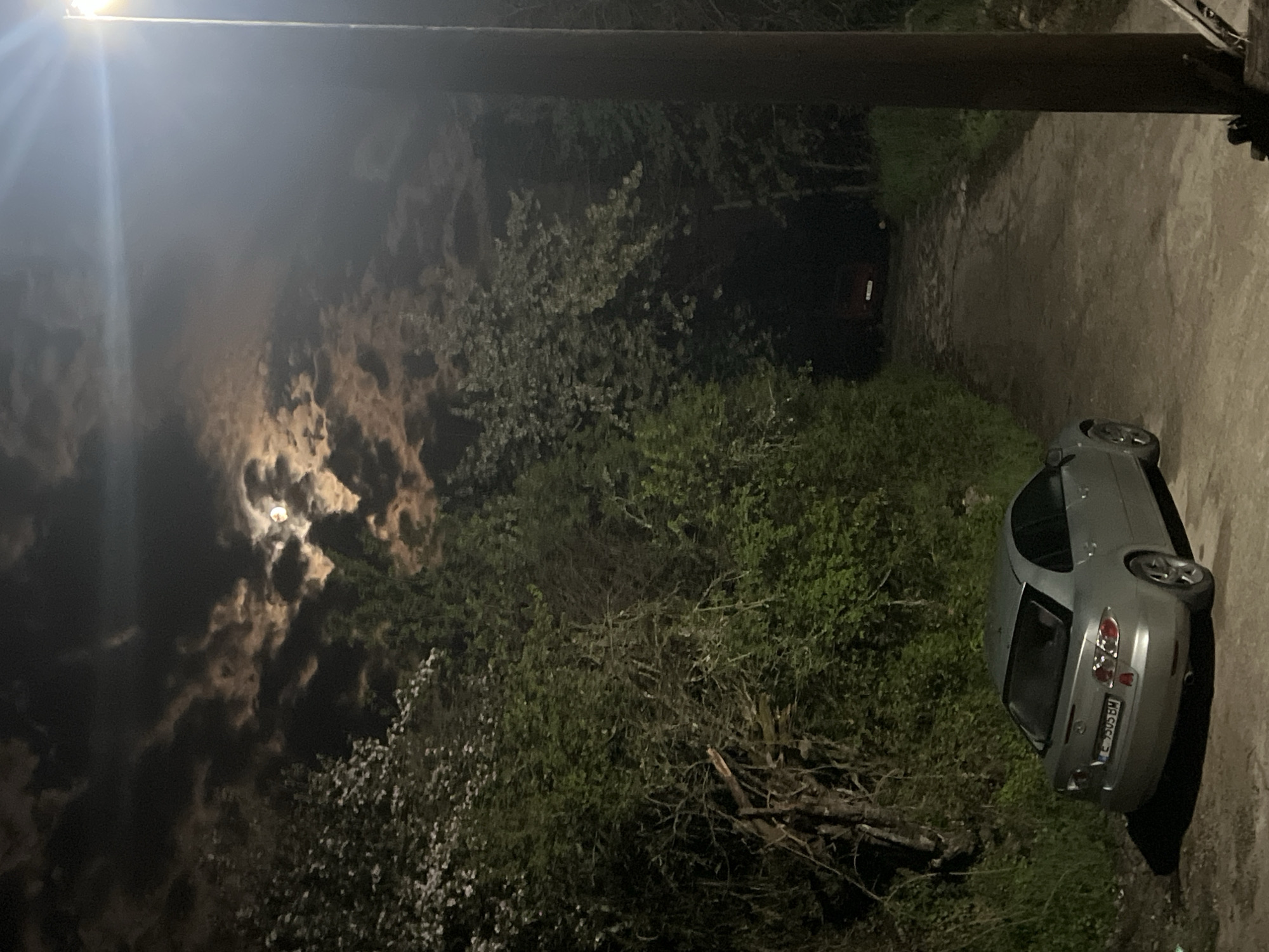 The image, taken at night in Kribul, Bulgaria, depicts an outdoor scene dominated by natural elements and human infrastructure. A light grey or silver Mazda 3 hatchback is parked on the right side of a concrete or asphalt path, which recedes into the darkened background. The car's license plate, "E 7305 BM," is visible on its rear.
The path is bordered on the left by dense green foliage, bushes, and trees, some of which display light-colored blossoms. In the night sky above the vegetation, a bright, full moon shines through dramatic, patchy clouds. To the far upper left, a powerful artificial light source, likely a streetlamp, casts a strong glare and visible light beams, illuminating a portion of the sky. A dark, thick utility pole or beam extends horizontally across the top of the frame. In the distance, at the end of the path, a faint red object with a vertical rectangular reflector or light can be discerned.
The scene is tranquil, with no human activity explicitly depicted. The time of day is clearly night, characterized by the prominent moon and the reliance on artificial lighting. The combination of moonlight, artificial light, and deep shadows creates a high-contrast and atmospheric setting.