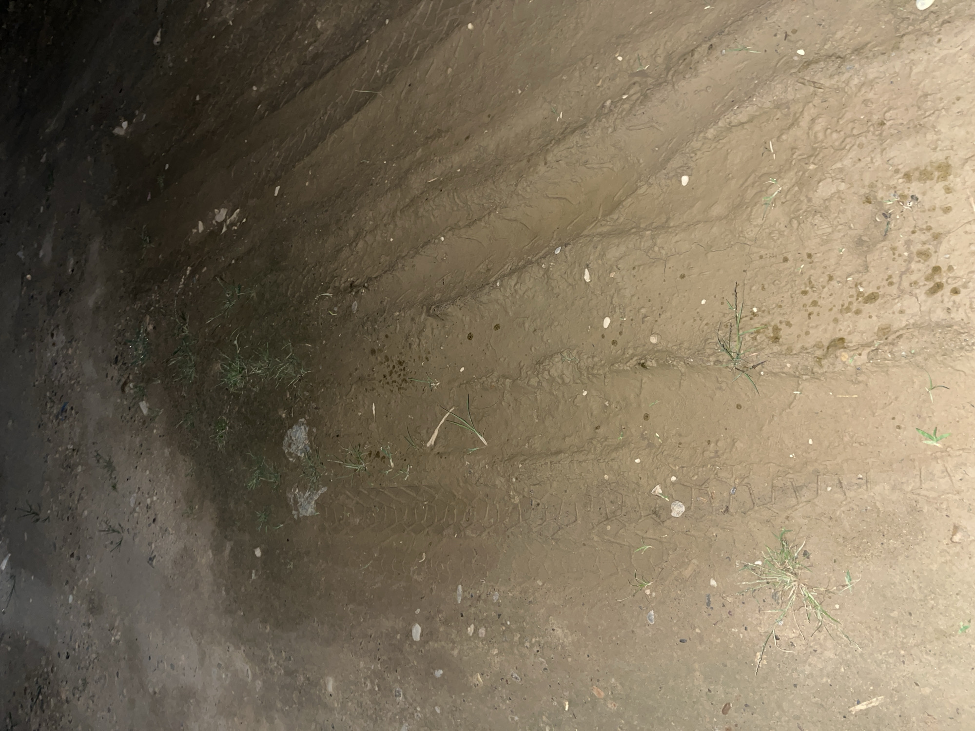 The image shows a close-up view of wet, muddy ground with tire tracks visible. The ground appears to be a dirt path or a field after rain. Several small white stones and some sparse green grass are scattered across the mud. The tire tracks are prominent, indicating that a vehicle has recently passed through. The lighting suggests it might be evening or early morning, with a dim, diffused light. There are no people or specific objects other than the natural elements and the tire tracks. The scene is likely outdoors in a rural or unpaved area, possibly in Kota Kuala Simpang, Indonesia, given the location context. No text is visible in the image.