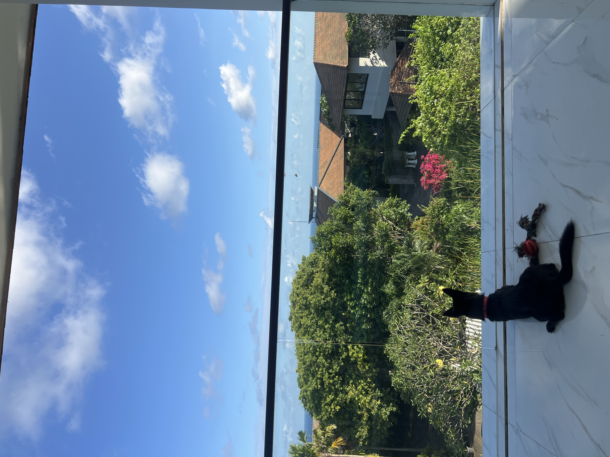 A view from a tall window reveals a bright blue sky with scattered cumulus clouds. Below, the distant ocean horizon separates the sky from a lush green landscape filled with dense trees, bushes, and glimpses of buildings with red-tiled roofs. In the foreground, on the white-tiled floor inside the window, a black dog with a red collar lies near a toy. The city and location are unknown.