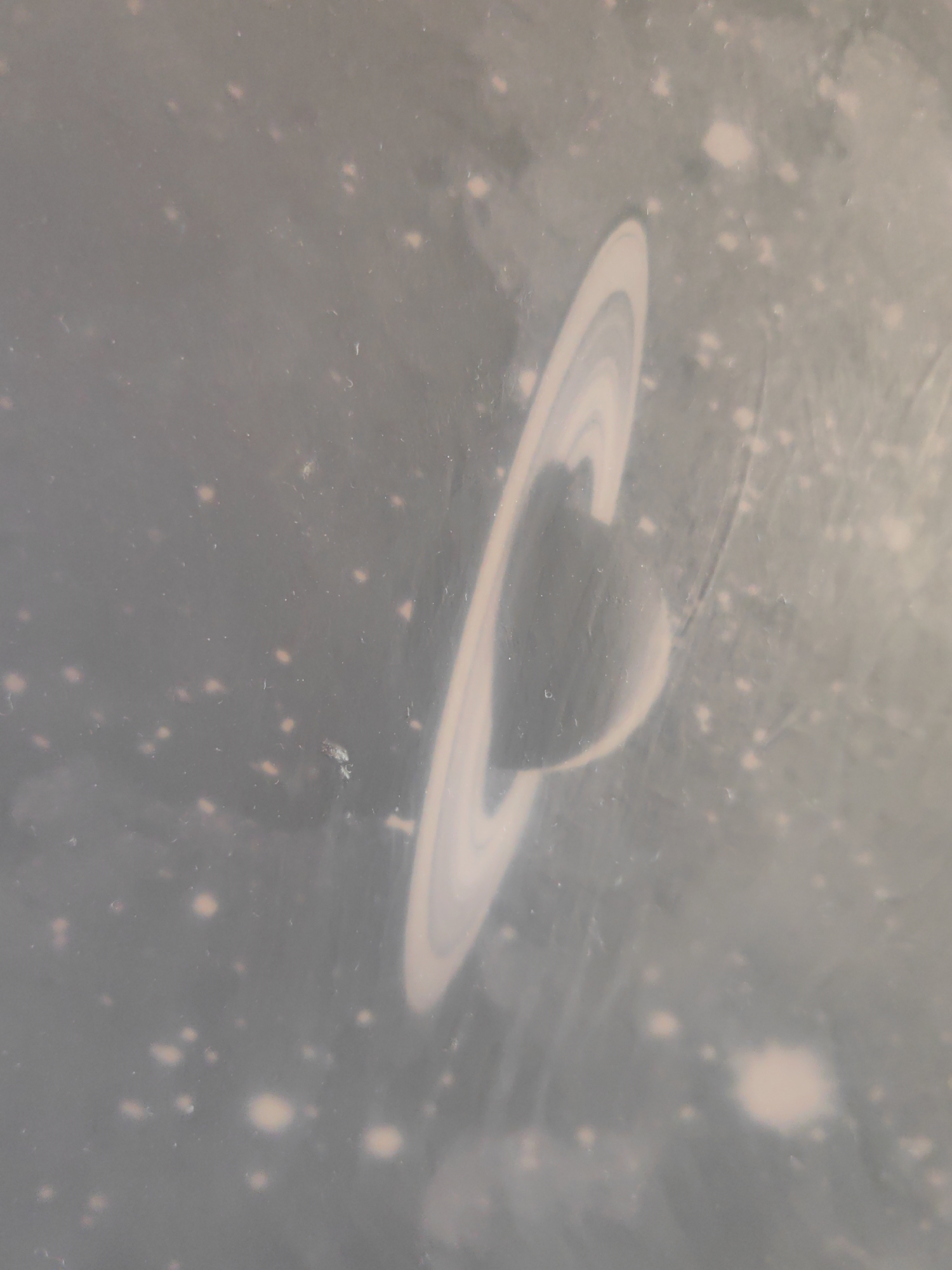 The image displays a stylized, somewhat abstract depiction of a ringed planet, strongly resembling Saturn, set against a dark, star-filled background. The planet, centrally located but slightly to the right, features a dark, spherical body encircled by several distinct, light-colored rings that are viewed from an oblique angle. The rings are prominent, appearing as smooth, concentric ellipses.
The background is a muted gray-blue, densely populated with numerous small, glowing light sources, suggestive of stars or nebulae. These lights vary in size and intensity, with some appearing as sharp pinpricks and others as softer, diffused blurs. The overall impression is one of outer space.
Notable details include a soft focus and a slightly grainy texture throughout the image. There are also visible smudges, streaks, and what appear to be dust particles or fingerprints across the surface, especially noticeable in the background and occasionally overlapping the planet's rings. This suggests the image might be a photograph of a printed picture, a screen, or an object with a surface that has accumulated dust or marks. No specific activity or event is taking place, as it's a static representation. There is no visible text. The location context of Sofia, Bulgaria, is not indicated by any visual cues within the image.
