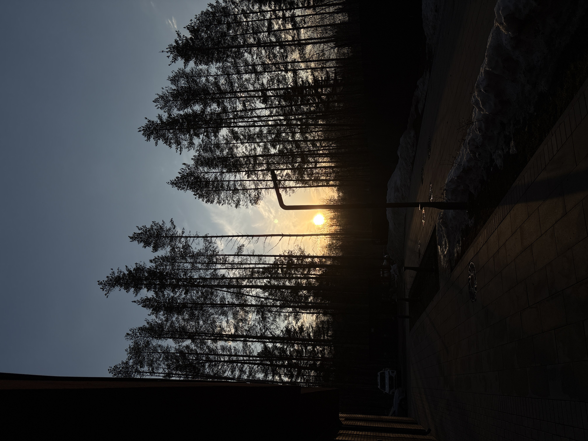 The image shows a park or wooded area near a paved path or road, likely located in or near Izhevsk, Russia. The sun is low in the sky, obscured by a dense line of tall, slender trees, creating a silhouette effect. A curved metal post or lamppost stands in front of the trees. Snow is piled up along the paved surface. The photo is oriented vertically, as if taken with a mobile phone.