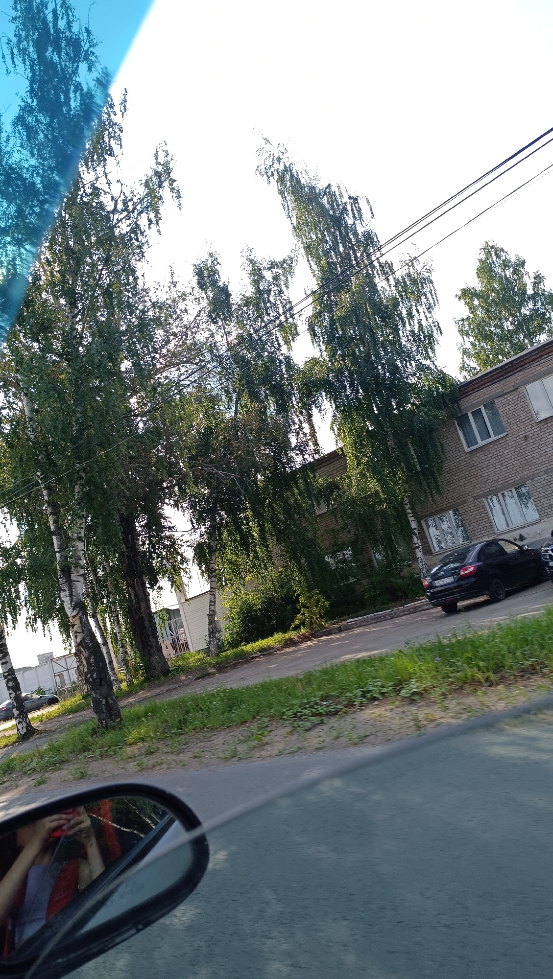 The image depicts a view from inside a vehicle, looking out at a street scene. In the foreground, the side-view mirror of the car reflects a person holding a red object, possibly a phone, and wearing a red jacket over a grey shirt. The exterior scene shows a row of birch trees lining a road in front of a brick apartment building. A black car is parked on the side of the road in front of the building. The sky is bright, suggesting daytime, and power lines are visible above the trees. The environment appears to be a residential area within the city of Chaikovsky, Russia, characterized by its birch trees and apartment buildings.