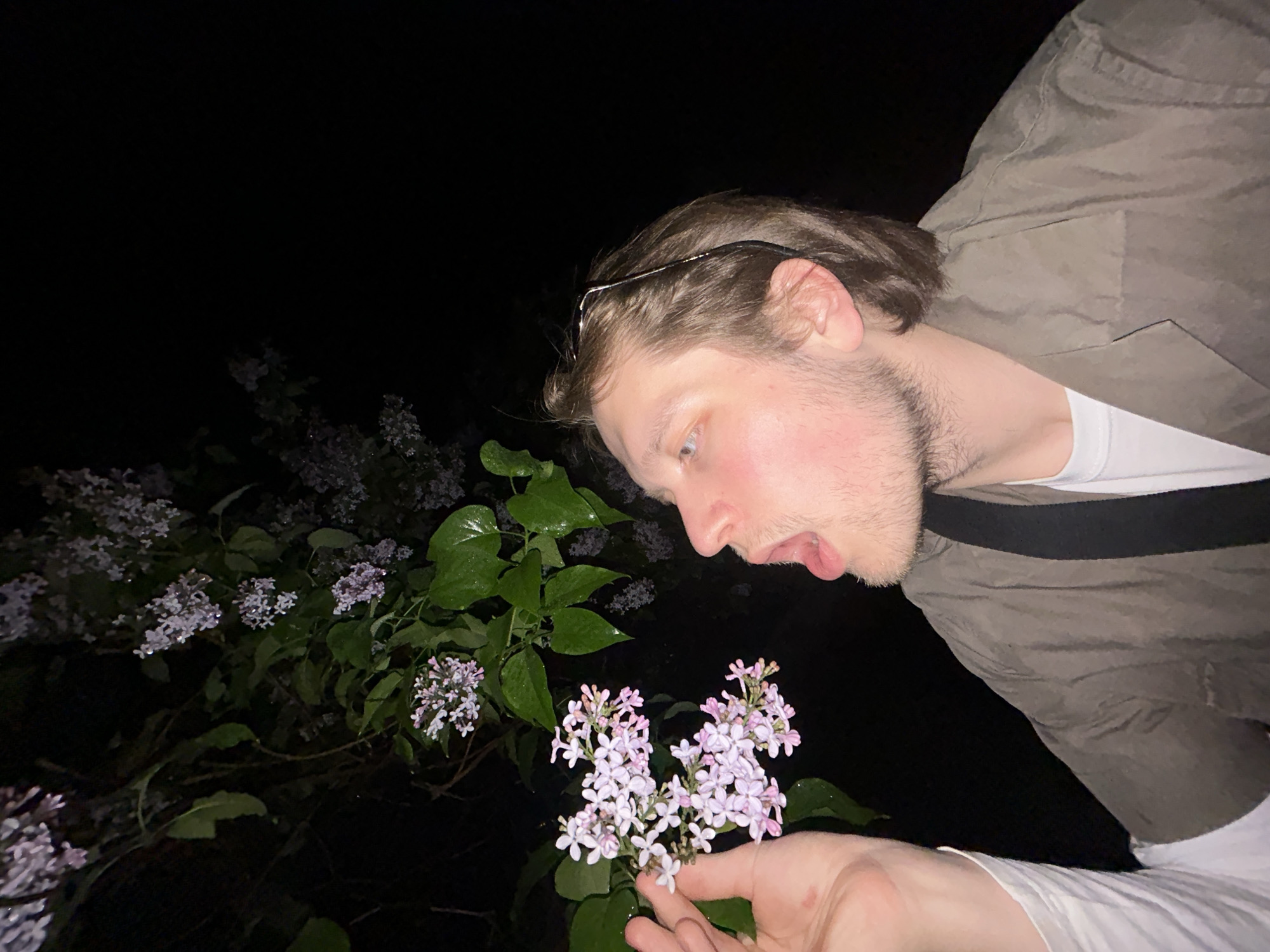 A person is outdoors at night, looking at a cluster of small purple and white flowers growing on a bush. The person is a light-skinned individual with short brown hair, a beard, and glasses perched on their head. They are wearing a brown jacket over a white shirt. The person’s mouth is open, possibly in surprise or interest. The flowers are in the lower center of the frame, and are held up by a hand. The rest of the bush is in the background and is surrounded by darkness. The city and location are unknown.