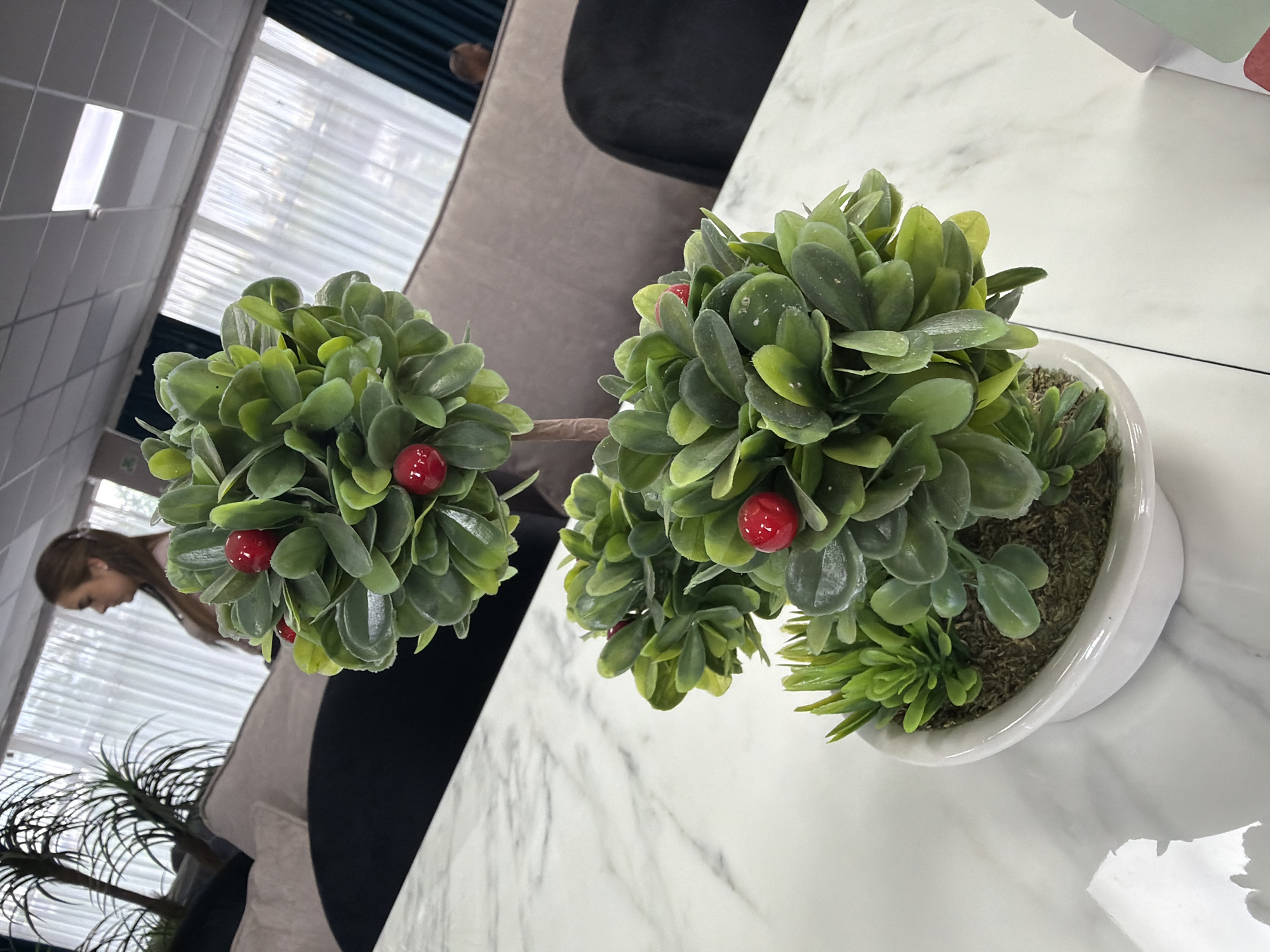 The image shows an artificial two-tiered plant with red berries on a white marble-patterned table. The plant is in a white pot filled with moss. In the background, there are sofas, tall plants, sheer curtains, and a ceiling with fluorescent lights. A woman is visible in the far background, facing away from the camera, and another person's shoulder is visible. The setting appears to be an indoor waiting area or lounge, possibly in Chișinău, Moldova, given the context provided.