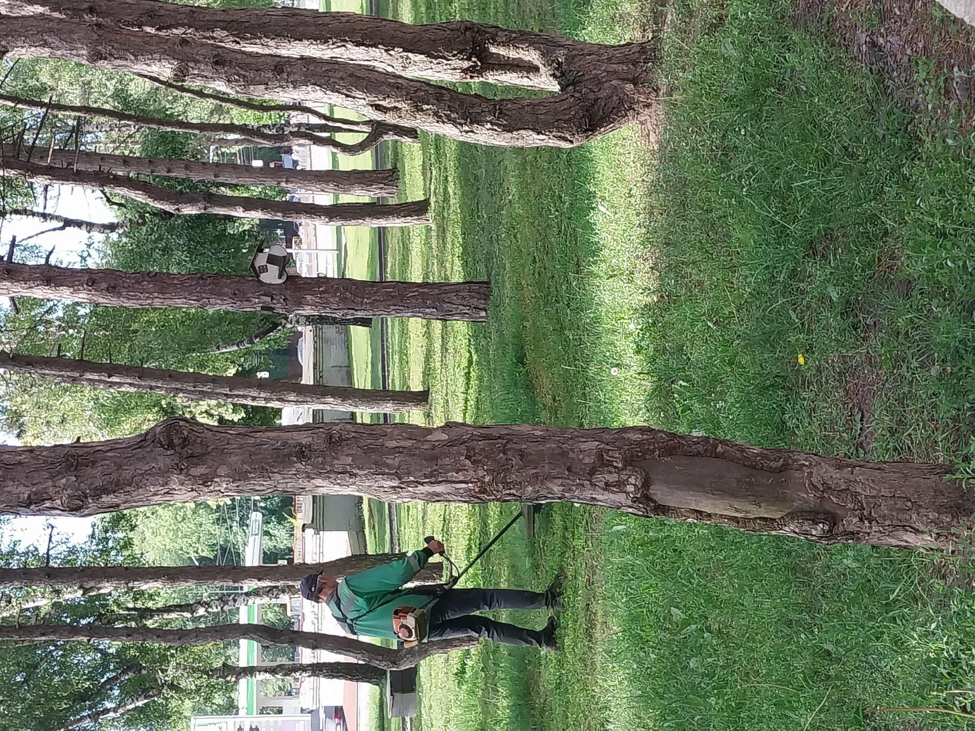 A person wearing a green jacket and dark pants operates a string trimmer in a grassy park with trees. A backpack-mounted engine is visible on the person's back, powering the trimmer. The location is in the city of Dnipro, Ukraine. The background includes more trees, some buildings, and a road with a car. The lighting suggests it is daytime.