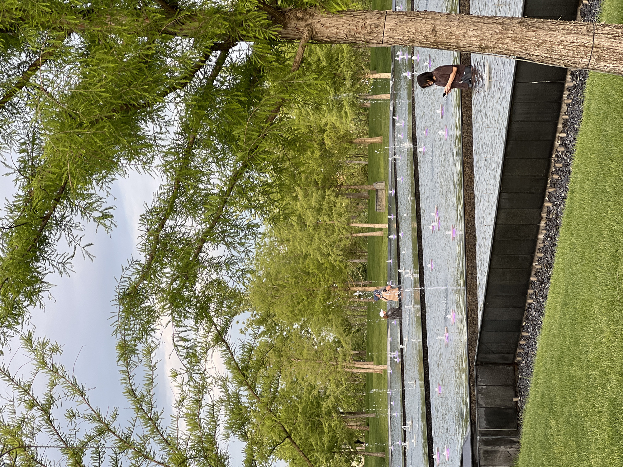 A long horizontal reflective water feature runs alongside a grassy area, in a park. The feature has small fountains with what appear to be violet lights. In the distance, a line of trees spans horizontally. A tree is in the foreground. A woman with short black hair, wearing a brown shirt, is standing at the water feature and looking at her cell phone. The location is not specified as Krasnodar, Russia.