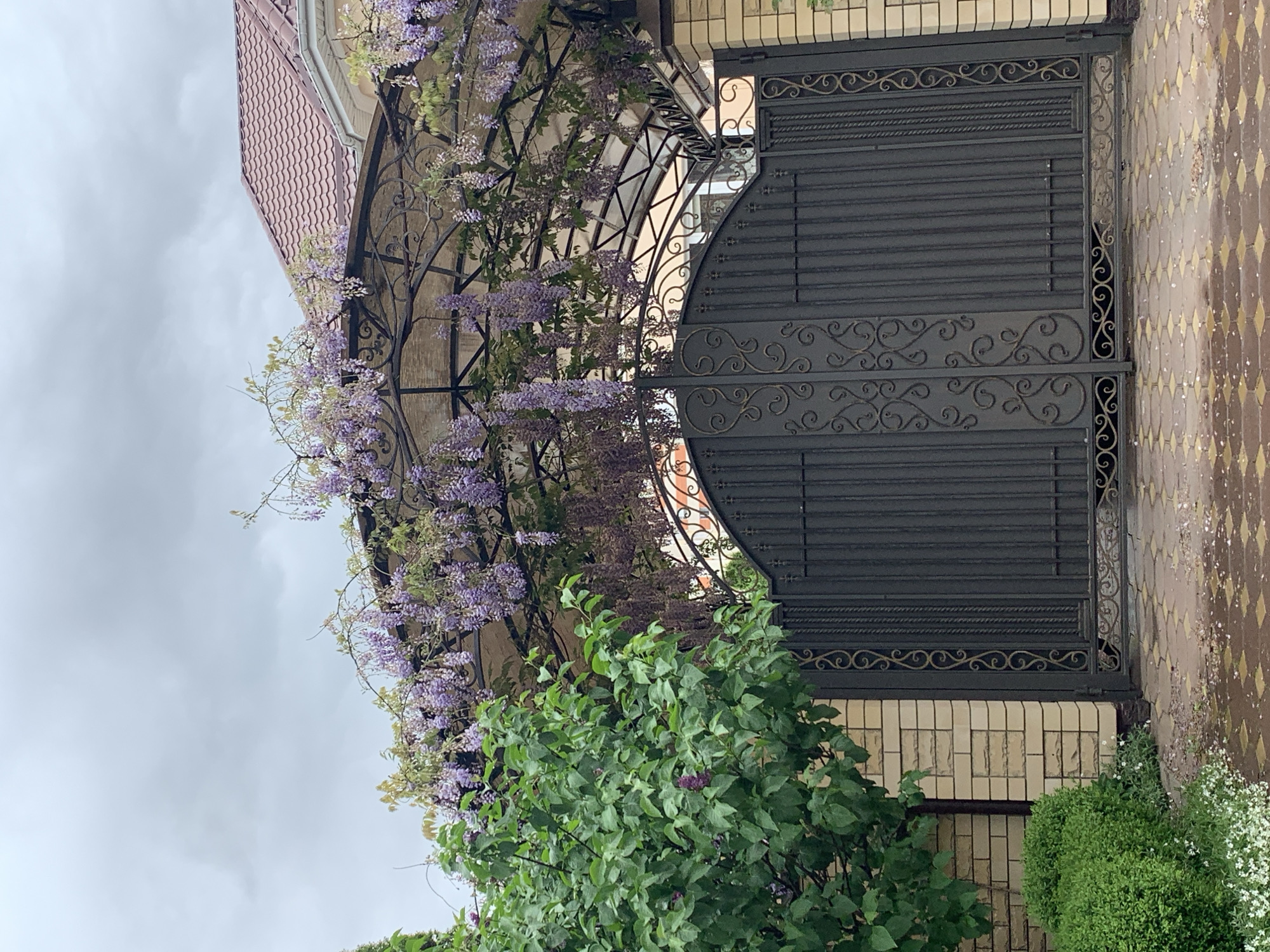 The image depicts an ornate, dark metal gate with decorative scrollwork. The gate is framed by a light beige brick wall and climbing wisteria with purple blooms. A green bush is located at the base of the wall, partially obscuring the gate. The scene appears to be an entrance to a property. The location is in the city of Stavropol, Russia. The ground is paved with diamond-patterned tiles. The sky is overcast.