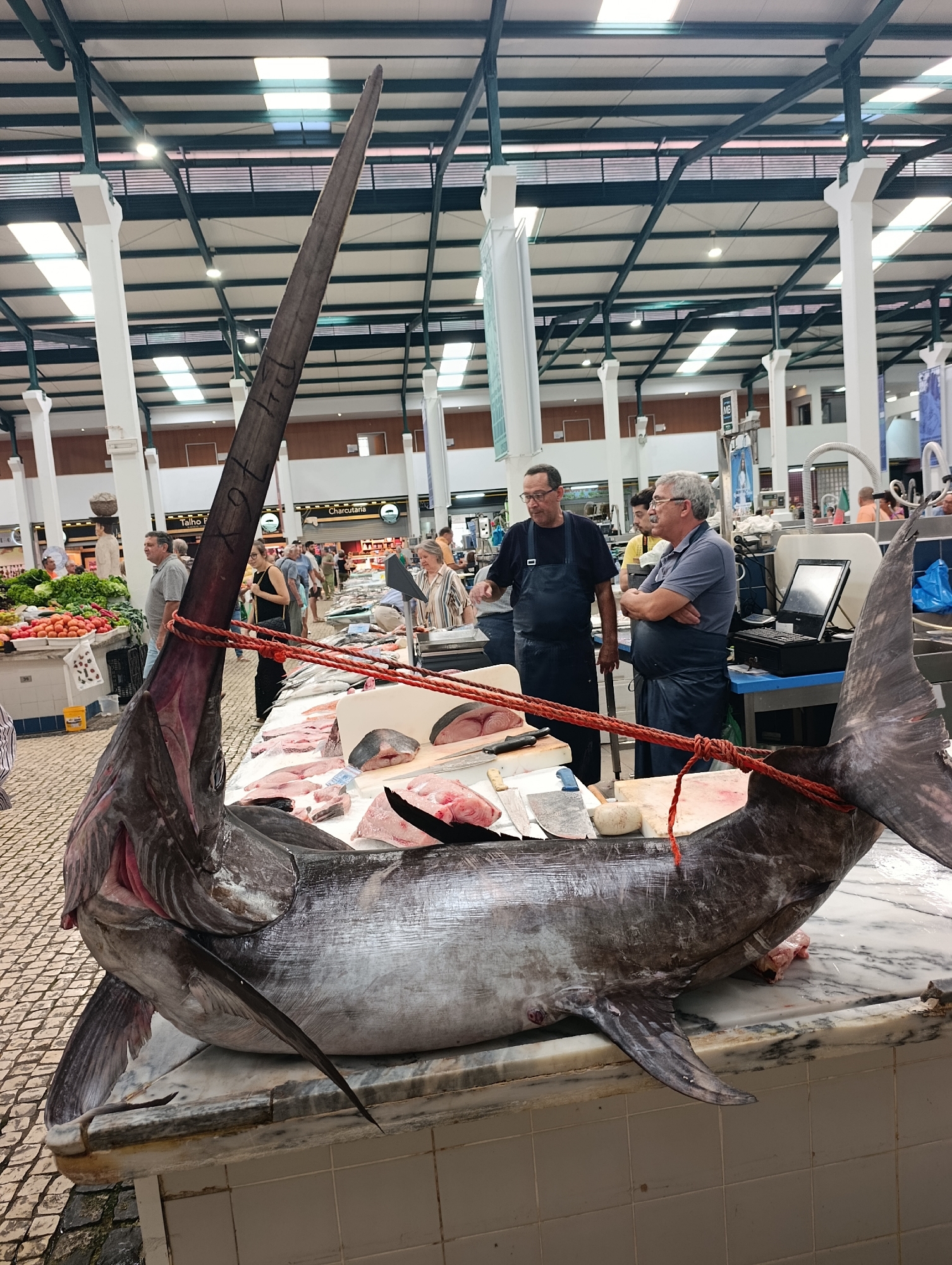 The image depicts a large swordfish displayed on a marble-topped counter at a fish market. The swordfish is positioned with its head towards the left and its tail towards the right. A thick red rope is tied around the fish, securing it. Two men are standing behind the counter, seemingly engaged in a conversation. The man on the left wears a dark apron over a blue shirt, and the man on the right wears a gray shirt and a dark apron. In the background, other market stalls are visible, displaying various fresh produce and fish. The market appears to be indoors, with a high ceiling supported by metal beams and skylights. The overall scene is that of a bustling fish market in Setúbal, Portugal, likely the Mercado do Livramento, known for its distinctive tile work and seafood offerings, though the tile work is not clearly visible in this particular shot.