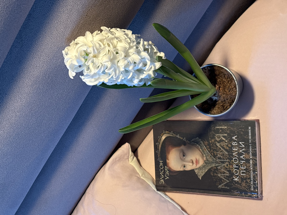 An indoor scene displays a blooming white hyacinth plant and a book. The hyacinth, centrally positioned, features a dense cluster of white flowers atop a green stem, supported by several green leaves, all contained within a small, light grey metallic pot filled with dark soil. To the left of the plant, a dark-covered book is visible, titled in Cyrillic as "МАРИЯ I КОРОЛЕВА ПЕЧАЛИ" (Mary I Queen of Sorrows) by "ЭЛИСОН УЭЙР" (Alison Weir), and featuring a portrait of a woman in historical dress. Both objects rest on a light peach-colored flat surface. A light pink pillow or draped fabric is partially visible behind and to the left of the book. The background consists of a textured, dark blue-grey wall or headboard featuring horizontal ridges that cast subtle shadows. The specific location within the city of Krasnodar, Russia, cannot be determined from the visual evidence.