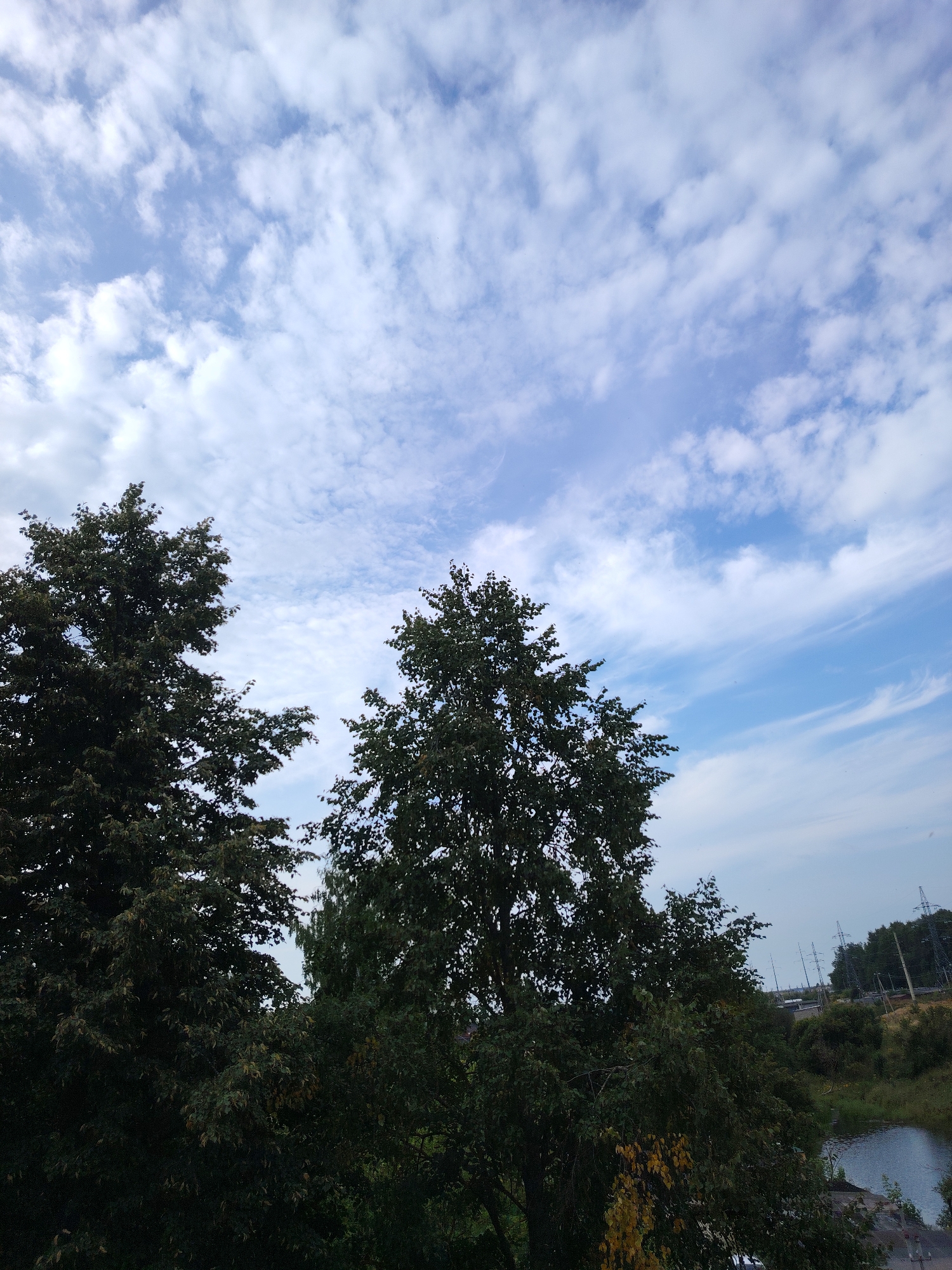 The image shows a view of the sky and treetops. Two large, dark green trees with dense foliage dominate the foreground, filling the lower left and center portions of the frame. Their branches reach upwards, partially obscuring the sky. The sky above is a bright blue, scattered with white, wispy clouds that appear to be moving. In the distance, beyond the trees, a body of water is visible, reflecting the sky. The far background features a line of trees and what appear to be power lines and pylons, suggesting a semi-urban or rural landscape. The lighting indicates it is daytime, possibly late afternoon, with the sun casting a soft light. There are no people or animals visible in the image.