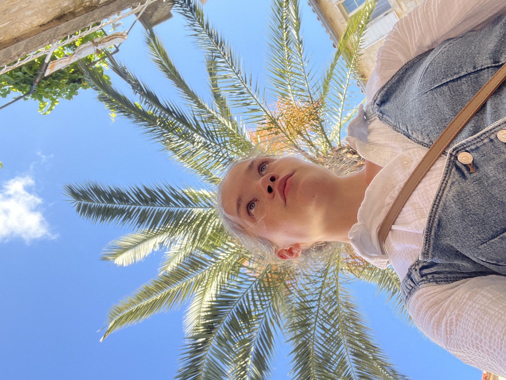 An extreme low-angle shot features a young woman looking upwards, her face occupying the lower central portion of the frame. She has light-colored hair and eyes, with a neutral, slightly contemplative expression as she gazes towards the sky. She is dressed in a white textured shirt layered under a denim garment, possibly overalls or a dress, with a brown strap from a bag or camera visible over her right shoulder. Small, unreadable text is present on the buttons of her denim attire.
The background is dominated by a brilliant blue sky, dotted with a few wispy white clouds. Large, green palm fronds radiate across the upper part of the image, with some yellowish-brown seed structures visible within the palm tree. In the top left corner, elements of a stone building with green foliage or vines are visible, hinting at an urban or old-town setting. The bright, clear sunlight indicates a sunny daytime, likely mid-morning or afternoon, suggesting pleasant, warm weather. The presence of palm trees and stone architecture aligns with the given location context of Budva, Montenegro, depicting a typical Mediterranean scene.