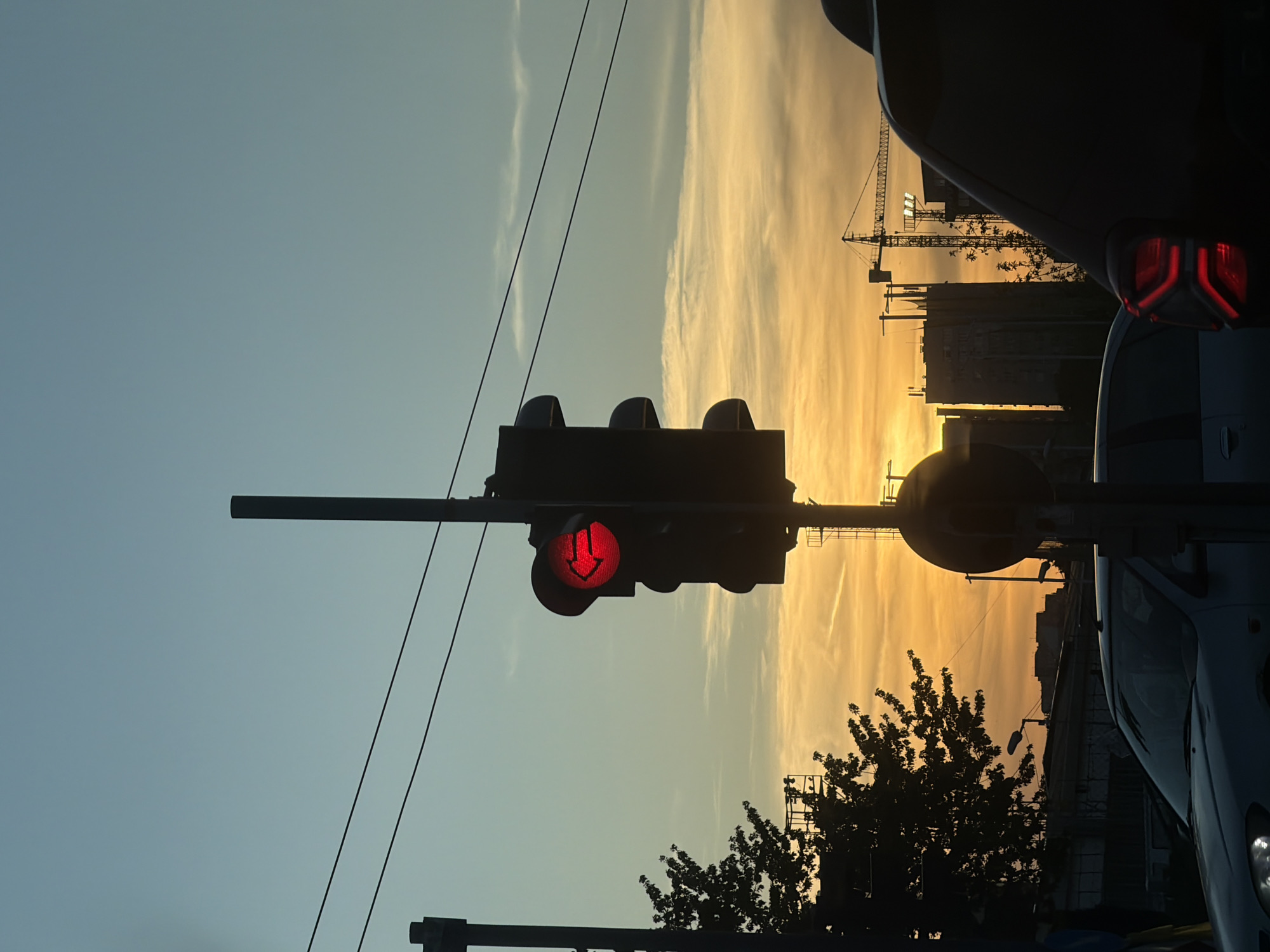 This wide-angle photograph captures an urban street scene during what appears to be sunset, characterized by a dramatic sky. The upper left portion of the sky is a clear light blue, gradually transitioning to a vibrant golden-orange at the horizon on the right, streaked with wispy clouds.
A prominent traffic light, positioned slightly left of center, is illuminated red with a distinct downward-pointing arrow, signaling a stop or specific lane direction. Several dark overhead wires stretch horizontally across the sky. The lower half of the image is dominated by various dark silhouettes against the bright backdrop. These include a large tree with dense foliage on the lower right, partially obscuring the silhouettes of multiple buildings and a tall construction crane further in the background, indicative of urban development in Varna, Bulgaria.
Parts of two vehicles frame the scene. On the far right, the rear section of a dark car is visible, featuring a distinctive red taillight. On the bottom right, the front and side of a lighter-colored car, possibly silver or white, with its headlights, are partially visible. The perspective suggests the photograph was taken from inside a vehicle, likely stopped at the red light. No legible text is visible. The strong backlighting creates a striking contrast between the vivid sky and the dark foreground elements, emphasizing the moment of pause in the city.