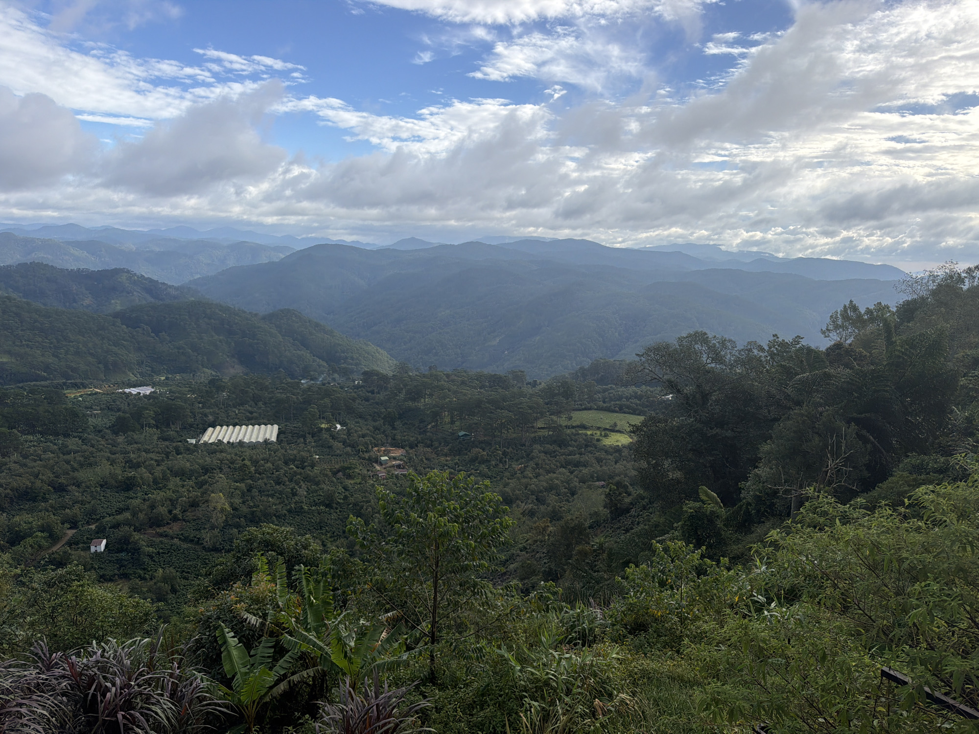 The image depicts a sprawling, verdant landscape with rolling hills and mountains stretching into the distance under a sky filled with white clouds. In the mid-ground, a white greenhouse structure with a ribbed roof is visible amongst dense green foliage. A small, white building with a dark roof is also situated on a hillside amidst trees. The foreground is dominated by lush green vegetation, including broad-leafed plants and various trees, some with dark purple, grass-like foliage. The overall scene suggests a rural or mountainous area, possibly a farm or agricultural region in Phát Chi, Vietnam, given the presence of greenhouses and the characteristic hilly terrain.