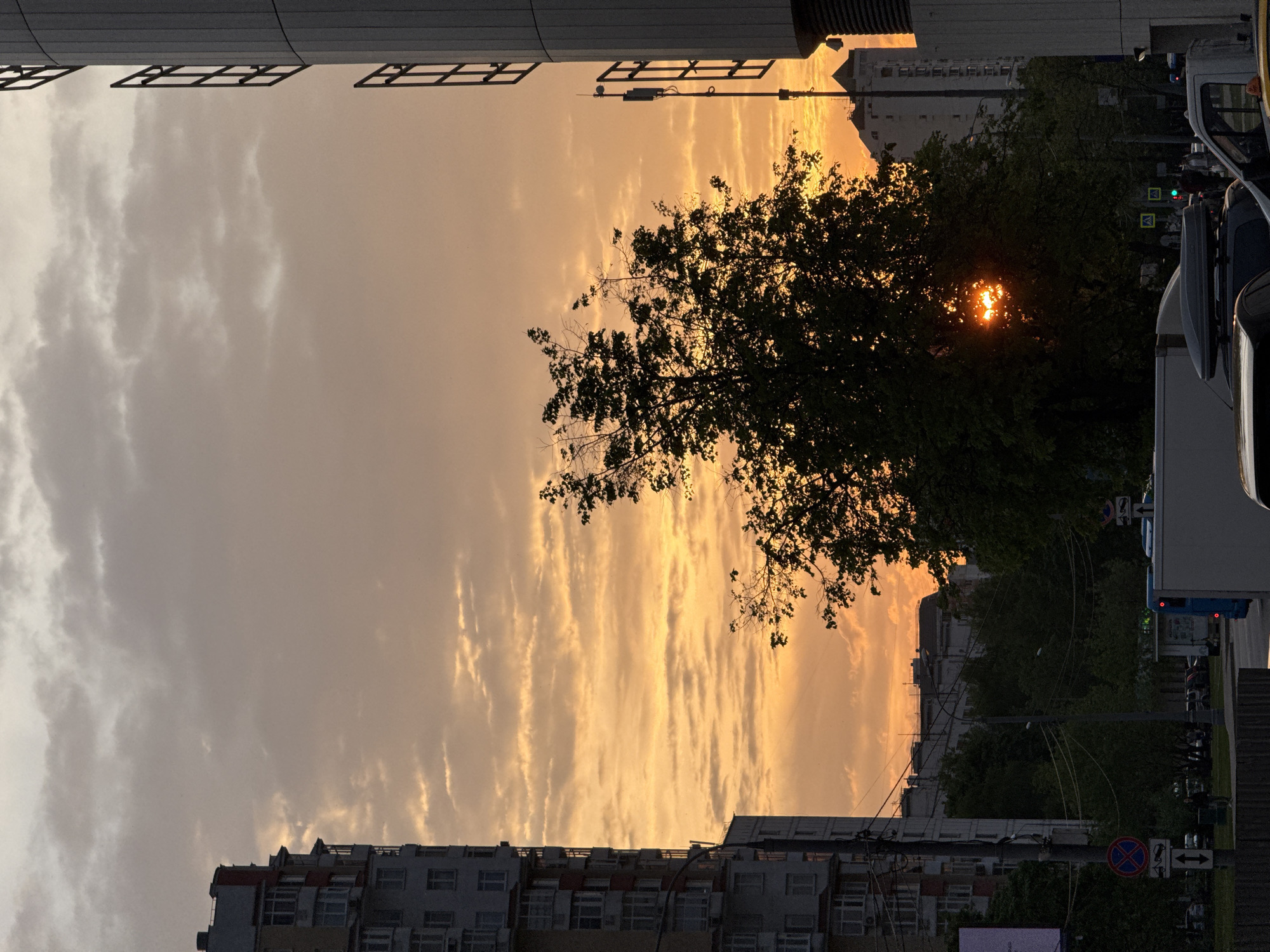 The image depicts a sunset scene in an urban area, likely Moscow, Russia, given the architectural style and road signage. The sky is filled with striated clouds, illuminated by the setting sun, creating a warm, orange glow. A tree with dense foliage is centrally positioned, partially obscuring the sun, resulting in a bright burst of light visible through the branches. Below the sky, there are multi-story residential buildings on both sides. A street is visible on the right side of the frame, with parked vehicles and traffic lights, suggesting an active urban environment. A street sign with a red circle and crossing arrows is visible. The buildings on the left frame the image.