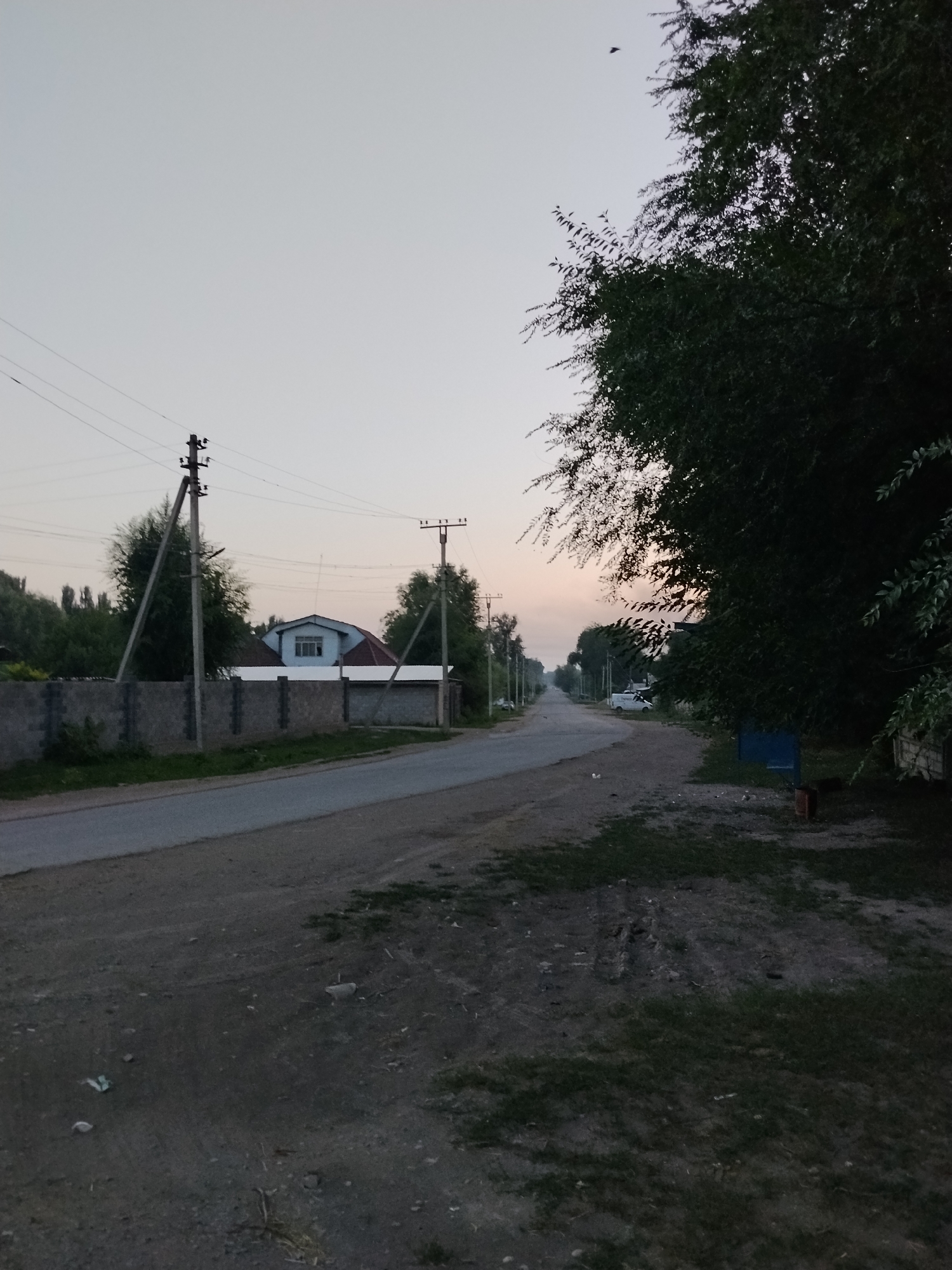 The image depicts a street scene in a rural or suburban area at dusk. A paved road runs through the center of the frame, flanked by dirt and grassy verges. On the left side of the road, there is a concrete fence with a house visible behind it. Several utility poles with electrical wires are present along the road. On the right side of the road, there is a large tree with dense foliage, and further down the road, some vegetation and buildings can be seen. The sky is overcast and appears to be light gray, with a hint of pink or orange near the horizon, suggesting either sunrise or sunset. There are no people visible in the image. The overall atmosphere is quiet and still.