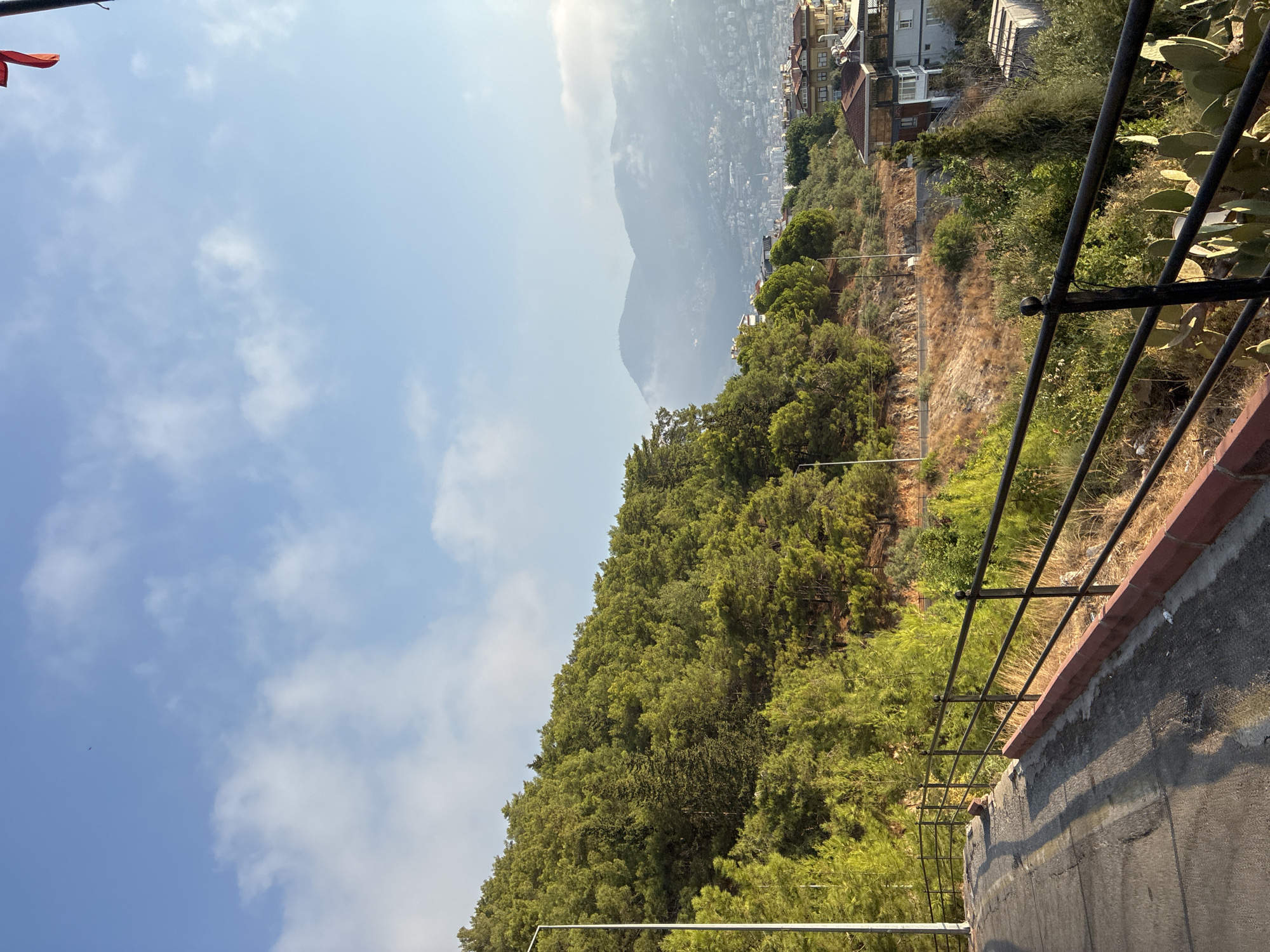 The image depicts a view from a hillside overlooking the city of Alanya, Turkey. A paved road curves into the foreground on the left, bordered by a metal railing. Beyond the railing, a dense forest of evergreen trees covers the slope. In the midground, houses and buildings of the city are nestled among the trees and on the lower slopes. The background features misty mountains under a bright blue sky with scattered white clouds. A single red flag is visible in the upper right corner. The scene is bathed in natural light, suggesting it was taken during the daytime.
