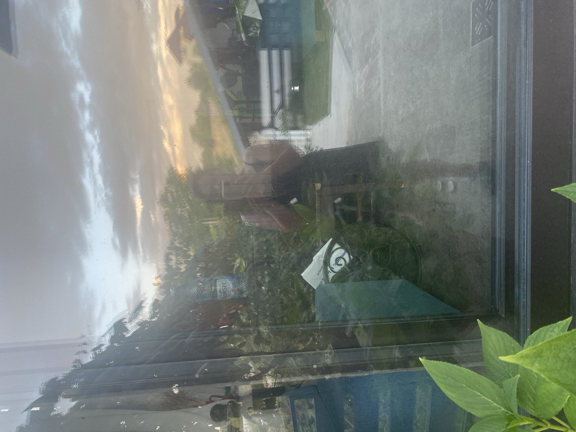 A reflection in a window shows a woman holding a phone, taking a selfie. She is wearing a black dress. Behind her, a bottle of Borsec water is visible on a shelf, along with greenery and other objects. The reflection also shows an outdoor scene with trees, a house with a red roof, and a cloudy sky at dusk. The location is Târgu Neamț, Romania.