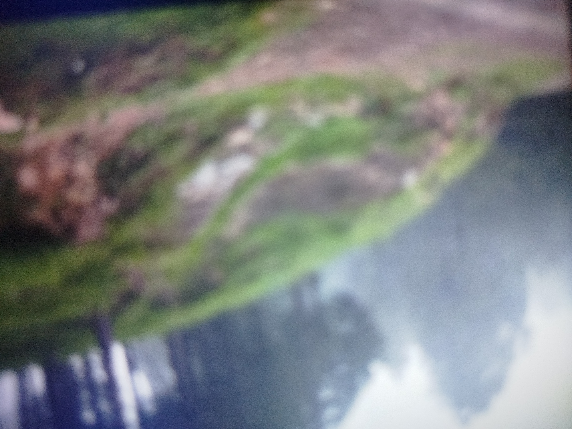 The image depicts a blurry, outdoor scene with a predominance of green and brown hues. The foreground appears to be a dirt path or embankment with patches of grass and scattered rocks. In the background, there is a hazy area that could be foliage or mist. The overall impression is that of a natural or semi-natural environment. No specific identifiable landmarks or structures that would indicate the city of Lassan, Pakistan, are discernible due to the extreme blurriness of the image.