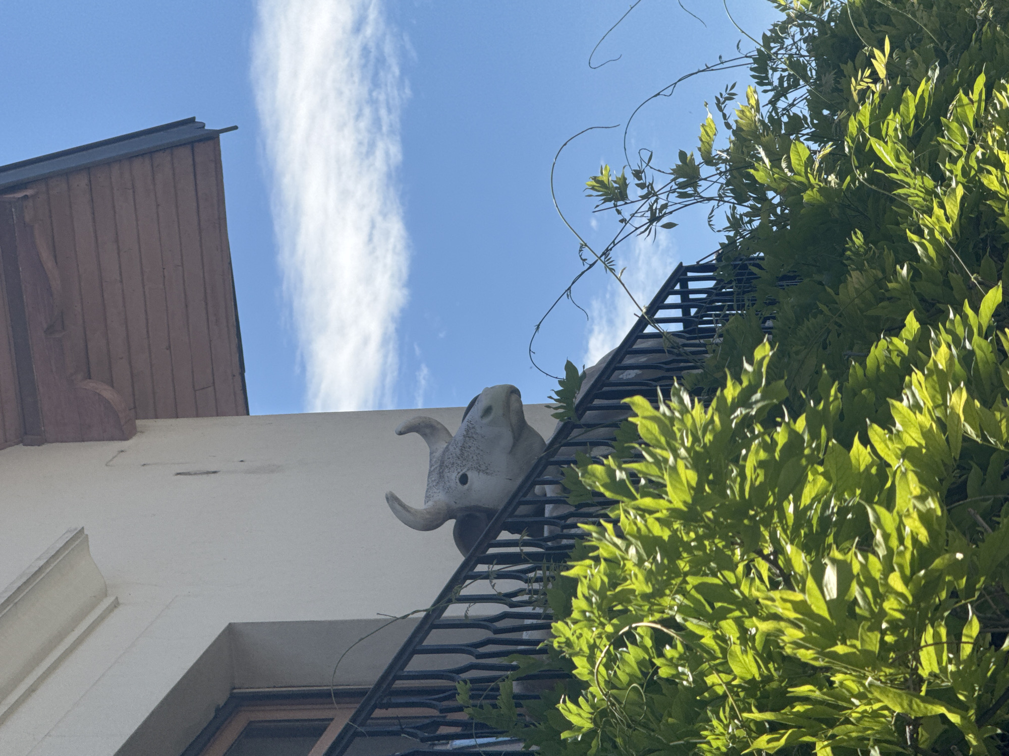 An artificial cow statue with horns is positioned behind a black metal railing on a balcony, partially obscured by bright green foliage in the foreground. The cow statue is facing to the right and appears to be made of concrete or a similar material, with a greyish-white finish. Above the balcony, a portion of a white building wall is visible, topped by a wooden eave. The background consists of a clear blue sky with scattered white clouds. The scene is illuminated by bright sunlight, casting shadows and highlighting the vibrant green of the leaves. This image was captured outdoors in the village of Coteaux du Lizon, France.