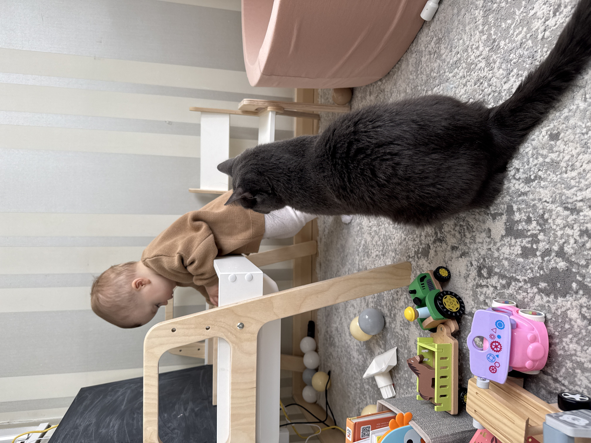 A grey cat is looking at a baby who is leaning over a wooden structure with white rails in an interior space. The wall behind the baby has horizontal stripes in light grey and white. Next to the cat are various toys, including a green tractor and a pink toy with blue and purple details. The background includes a grey and white rug and a pink, bowl-shaped object. There is no specific information to determine if this location is in Moscow, Russia.