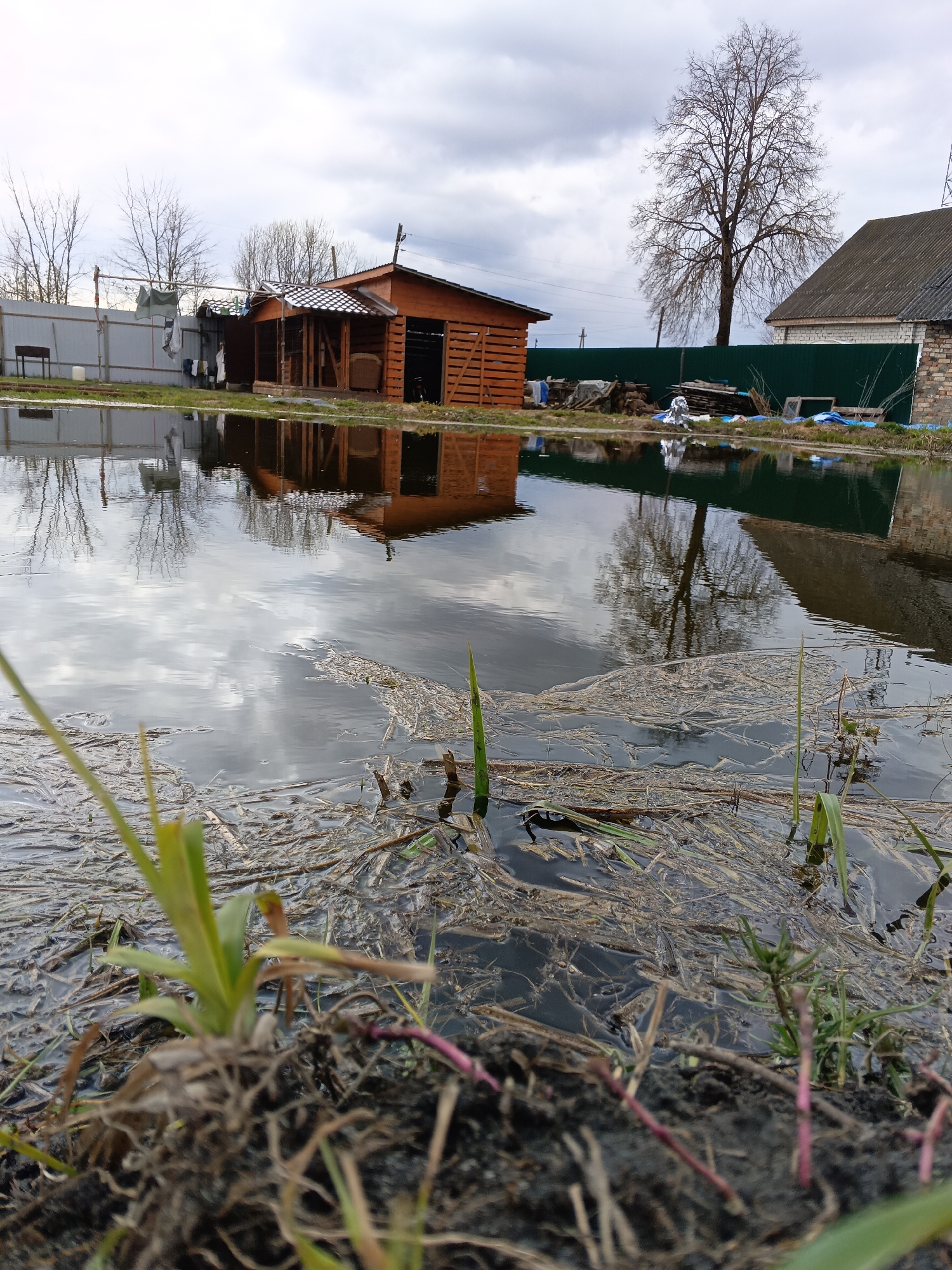 This low-angle photograph captures a rural landscape in Andreyevo, Russia, characterized by a large expanse of still water, likely floodwater or a significant puddle, dominating the foreground and midground. The water's surface reflects the overcast sky, clouds, and surrounding structures with clear detail.
In the immediate foreground, muddy ground supports emerging green shoots of grass and reeds, indicating new growth. The water itself is scattered with floating debris, primarily dry, stringy vegetation. The camera's perspective is close to the ground, emphasizing the water's surface and its reflections.
In the background, several structures and natural elements define the scene. To the left, behind a light-colored metal fence, stands a rustic wooden building with a covered porch or veranda, possibly a shed or an outbuilding. Laundry is seen drying on a clothesline positioned near this structure. Further right, a tall, deciduous tree, bare of leaves, stands prominently against the cloudy sky, its intricate branches reflecting in the water below. To the far right, a portion of a larger, more substantial building with a dark-colored roof and light-toned brick or stucco walls is visible. A dark green corrugated metal fence runs behind the water, separating properties and concealing some accumulated items like tarps and wood.
The sky is uniformly overcast with shades of gray and white, suggesting a cloudy day. The bare trees and the presence of significant standing water indicate either late winter or early spring conditions, possibly after snowmelt or heavy rain. No people are visible in the image, and no discernible text appears within the frame. The overall atmosphere is quiet and somewhat muted, reflecting the typical transition period between seasons in a rural setting.