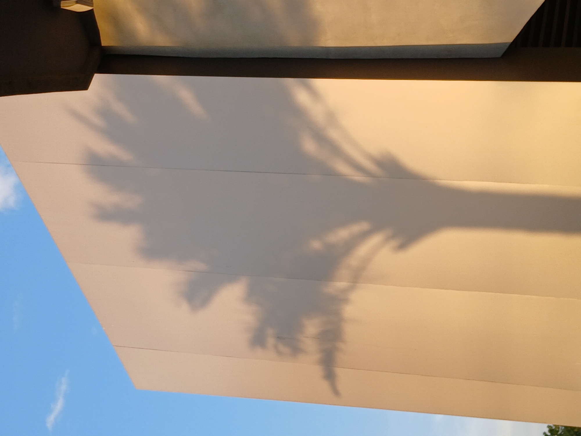 The image shows a close-up view of the underside of a building overhang or architectural element in Ciudad Guayana, Venezuela. The overhang is constructed of flat, light-colored panels, likely concrete or painted material, with dark horizontal lines indicating panel divisions. A shadow of a tree or foliage is cast across the panels, obscuring some of the surface. In the lower left corner, a patch of blue sky with a few wispy clouds is visible. The lighting suggests late afternoon or early morning. The overhang is attached to another, darker, possibly metal, structure above.