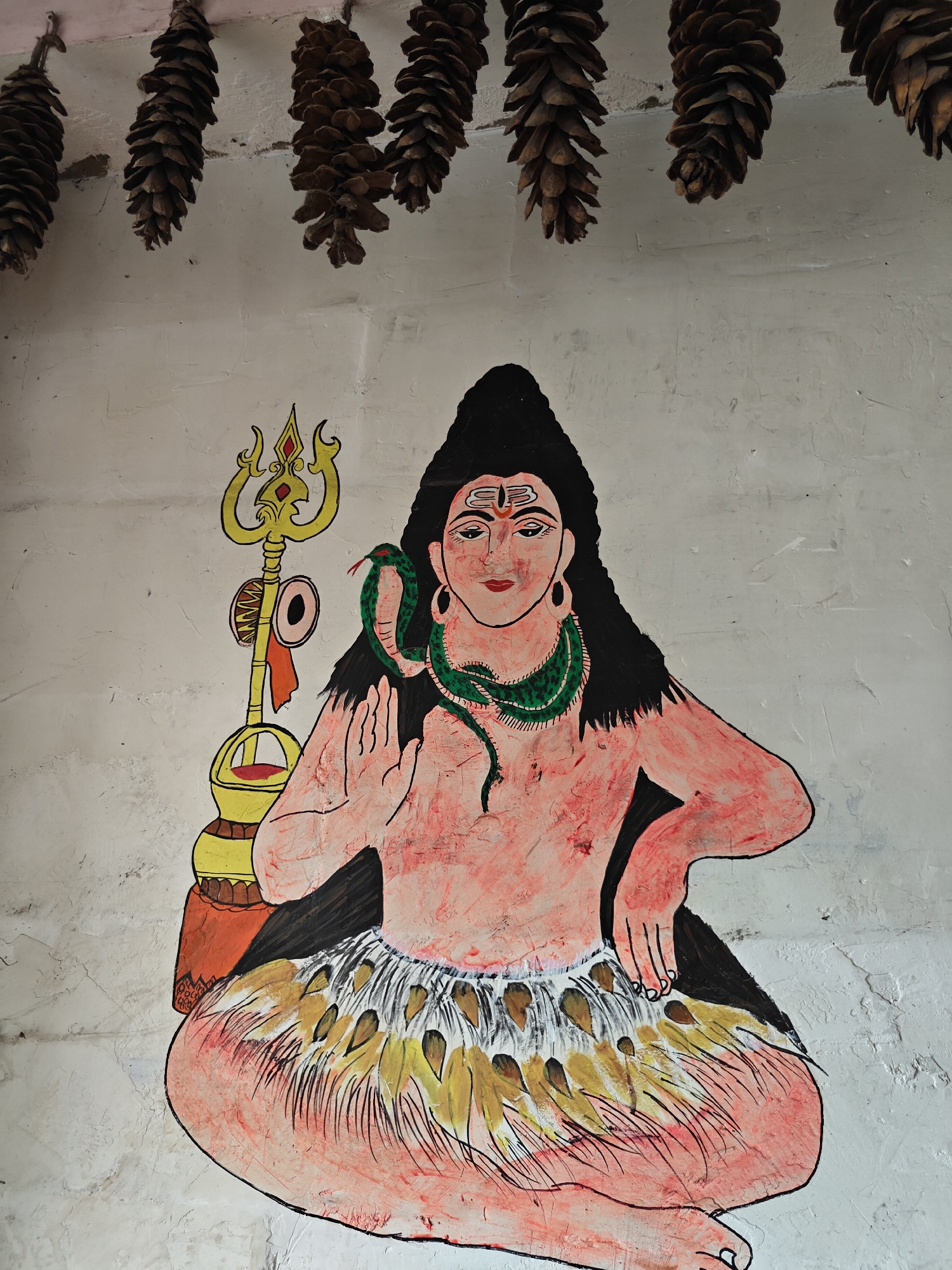 The image displays a vibrant, folk-art style painting of Lord Shiva on a textured, off-white wall. Lord Shiva is depicted in a seated posture, characterized by a fair, reddish skin tone, long black hair, and large earrings. A prominent green cobra is wrapped around his neck, and the traditional Tilak (three horizontal lines) marks his forehead. His expression is serene, with calm eyes and subtle red lips.
Beside him, to the viewer's left, stands a tall, golden Trishul (trident) with red accents, and a small damaru (drum) attached to its handle. Shiva's upper body is bare, while his lower body is covered by a skirt-like garment composed of yellow and brown elements resembling leaves or feathers. His right hand is raised in a gesture of blessing or reassurance (Abhaya Mudra).
Above the painted deity, a row of dark brown pinecones hangs from the top edge of the frame, suspended against the wall. These natural elements suggest an outdoor or rustic setting for this devotional artwork. The wall itself exhibits cracks and uneven textures, indicating age or a simple construction style. No visible text is present in the image. The scene conveys a sense of spiritual reverence and connection to nature, fitting for a location like Pulga, India.