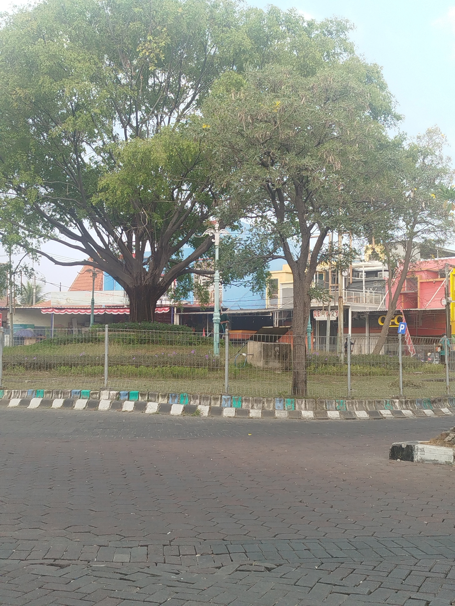 The image shows a street scene in Yosowilangun, Indonesia, dominated by lush green trees and a paved road. In the foreground, a dark gray paved road is visible, with an intricate pattern of interlocking rectangular stones. A curb, decorated with alternating white, green, and blue blocks, separates the road from a grassy area. This grassy area is enclosed by a metal fence, and beyond the fence, several trees stand tall. The largest tree, a mature specimen with sprawling branches, is centrally located, its thick trunk and extensive canopy creating a significant presence. To its right, another tree, with a more slender trunk, also contributes to the leafy landscape. Behind the trees and fence, a row of buildings can be seen. These structures exhibit a variety of architectural styles and colors, with some featuring awnings and windows. A blue sign with a white 'P' is mounted on a pole in front of one of the buildings. The sky above is a light, hazy blue, suggesting a bright but possibly overcast day. The overall impression is one of a well-treed urban environment, possibly a park or public space, adjacent to commercial or residential buildings.