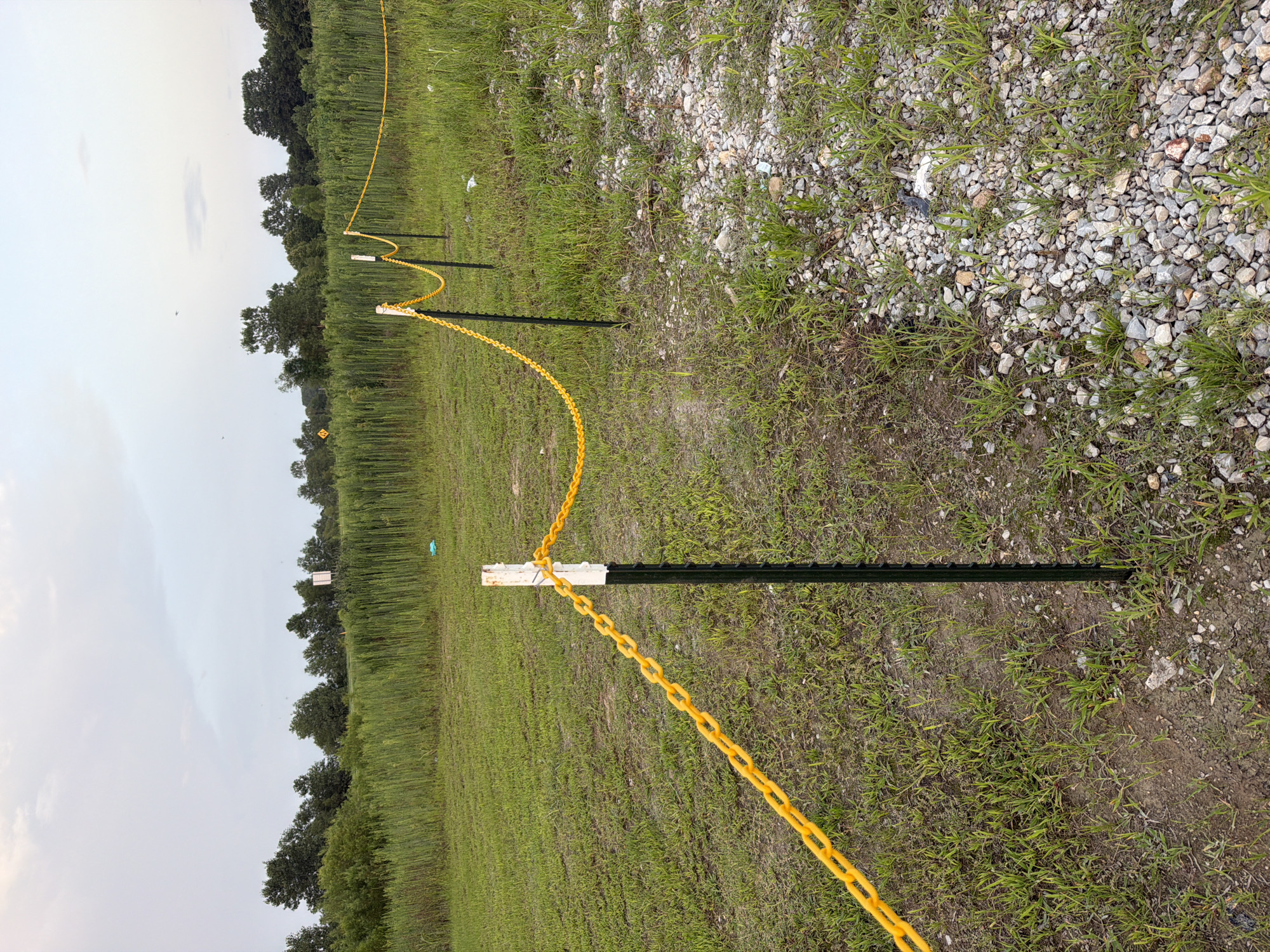 The image depicts an outdoor scene in Cardwell, United States. A yellow chain is strung between white-capped fence posts that are planted in the ground. The posts are dark metal and are spaced at intervals, creating a boundary across a grassy field. The field is sparsely populated with small stones and patches of dirt. In the background, a dense line of tall green vegetation stretches across the horizon, with scattered trees beyond. The sky above is overcast with a light gray hue.