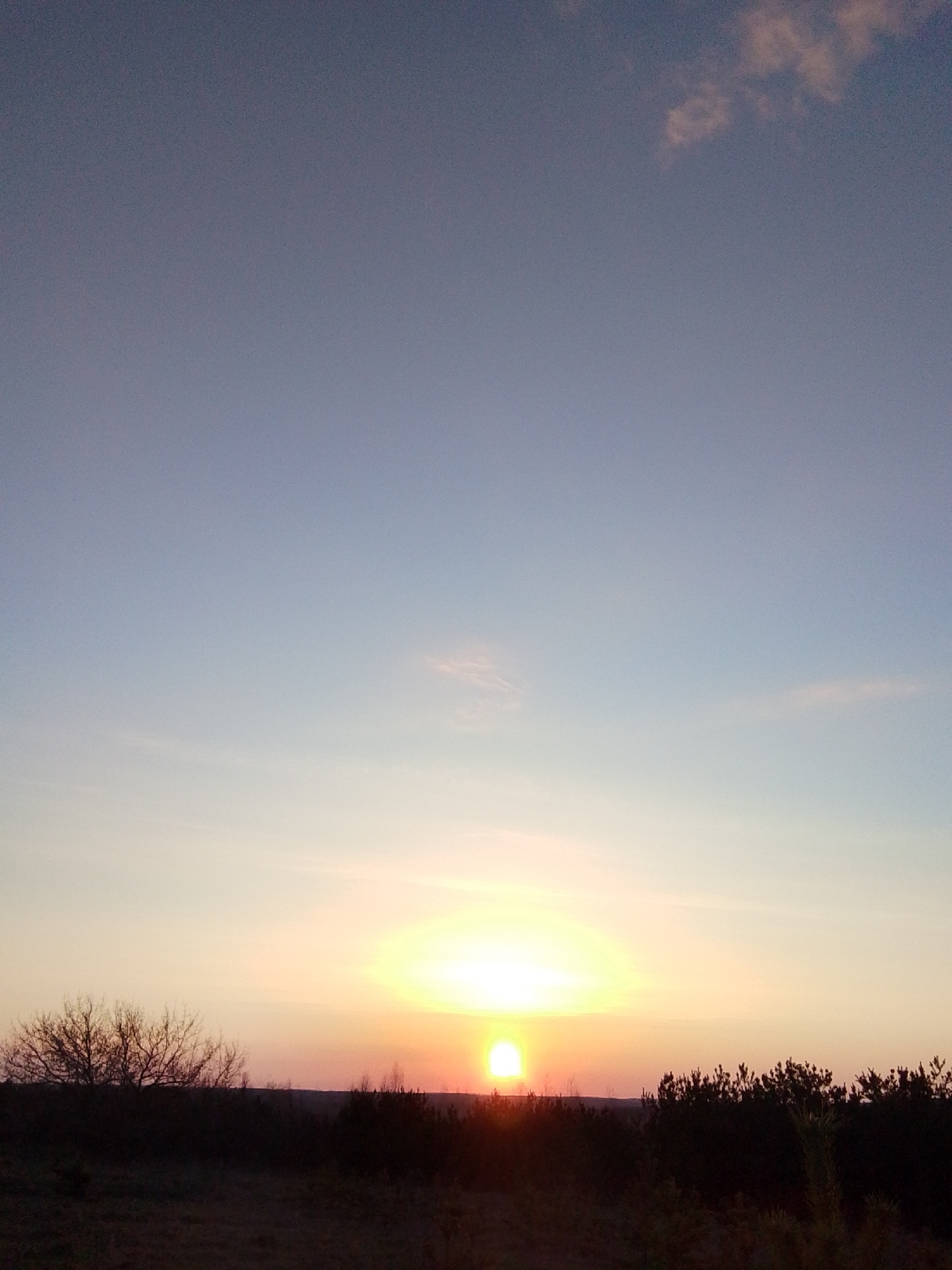 The image displays a tranquil natural landscape captured during either sunrise or sunset. The sky dominates the upper two-thirds of the frame, showcasing a beautiful gradient of colors. At the very top, the sky is a deep, muted blue-grey, gradually transitioning to lighter blues and then vibrant yellows and oranges as it approaches the horizon. A few faint, wispy clouds are visible, notably in the upper right and mid-left areas.
The sun is a brilliant, intense orb of light positioned low on the horizon, slightly to the left of the center. Its powerful glow creates a broad band of bright yellow and orange light that radiates across the sky, illuminating the atmosphere.
Below the brightly lit horizon, the landscape is rendered in dark silhouettes. A line of trees and bushes stretches across the midground. On the far left, a deciduous tree with intricate, bare branches is silhouetted against the colorful sky. To the right, a denser cluster of evergreen trees, possibly pines, forms a dark, textured barrier. The immediate foreground is dark and appears to be flat ground, possibly a field or undeveloped land.
The scene conveys a sense of peacefulness and natural beauty. There are no people visible, and no discernible text. The image focuses entirely on the expansive sky and the silhouetted landscape.