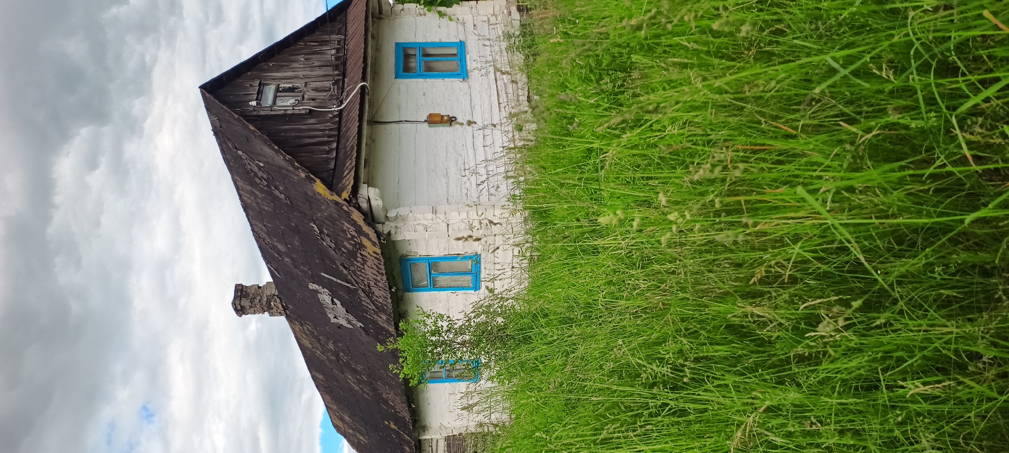 An exterior, eye-level, vertical shot captures a small, weathered white wooden house with a dark, peeling roof. The house is partially obscured by tall green grass in the foreground. Two bright blue windows are visible on the white facade. A stone chimney rises from the left side of the roof. A small green tree with dense foliage stands to the left of the house, in front of one of the blue windows. The sky above is cloudy with patches of blue peeking through. The house appears to be in a rural or neglected setting.