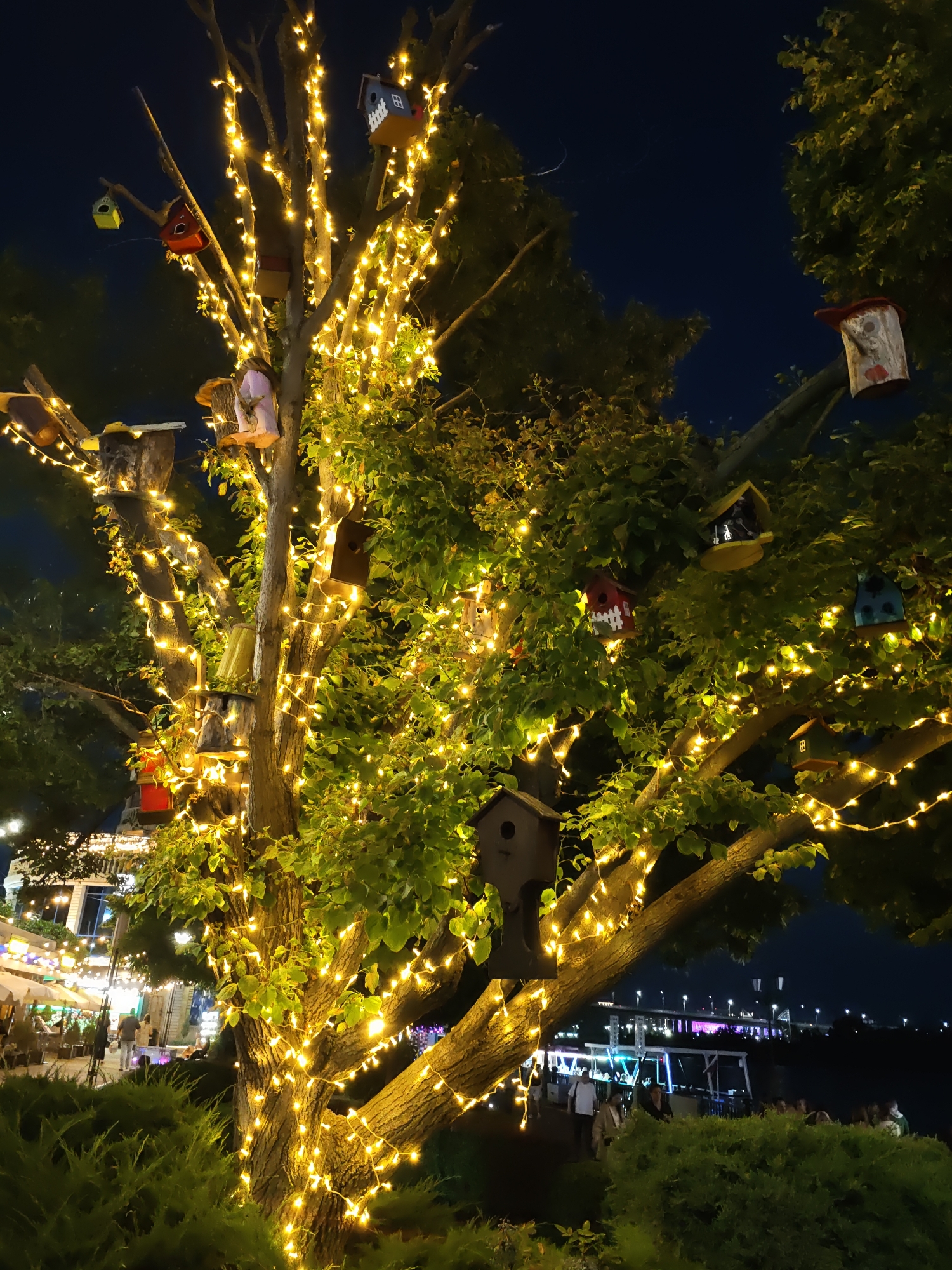 This image depicts a tree adorned with numerous string lights and decorative birdhouses. The tree is situated in an outdoor setting at night, with a dark sky providing a backdrop. In the background, a body of water is visible, with a bridge and city lights illuminating the opposite bank. Several boats or floating structures are present on the water, some appearing to be stages or platforms with people on them.
The tree itself is the central subject, with its branches intricately wrapped in warm-toned string lights. The birdhouses, varying in color and design, are attached to the branches, adding a whimsical touch to the scene. Some of these birdhouses have painted facades, including depictions of windows and doors.
In the middle ground, a pathway or promenade can be seen, with a few individuals walking and standing. This area appears to be a public space, possibly a park or a waterfront area with cafes or restaurants. Further in the background, buildings and more city lights suggest an urban environment.
The overall impression is one of a festive and illuminated nighttime scene, likely in a recreational area of Rostov-on-Don, Russia, near the Don River, given the presence of the river, bridge, and city skyline typical of the city. The lighting creates a warm and inviting atmosphere.