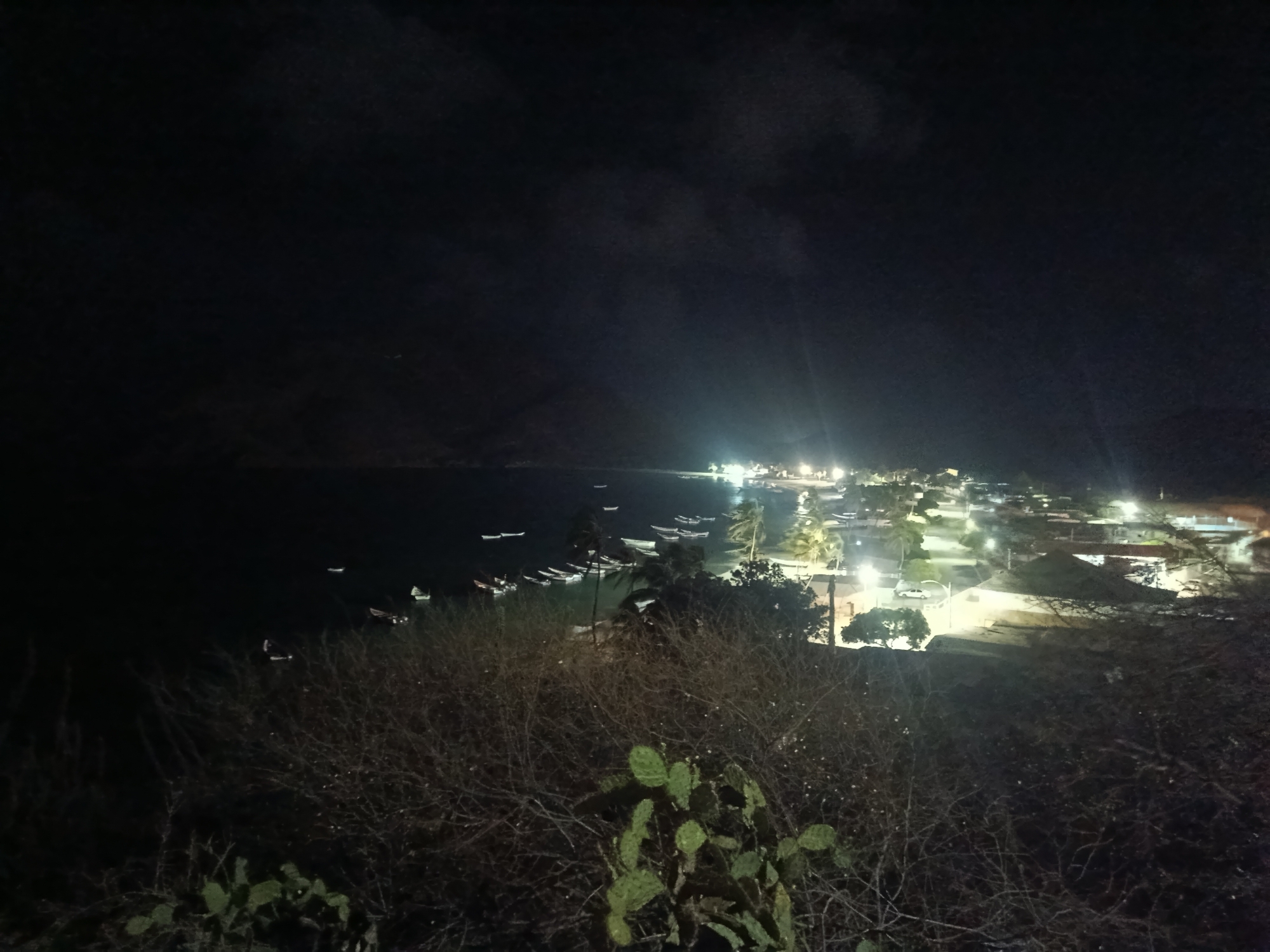 The image captures a night view of Juan Griego, Venezuela, from an elevated position. In the foreground is a sparse, scrubby landscape with cacti. Beyond this is a bay with several small boats anchored in the calm water. Along the shoreline, a town is illuminated by streetlights and building lights. The buildings are a mix of residential and commercial structures. The sky above is dark, hinting at cloud cover. The overall scene suggests a quiet night in a coastal town.