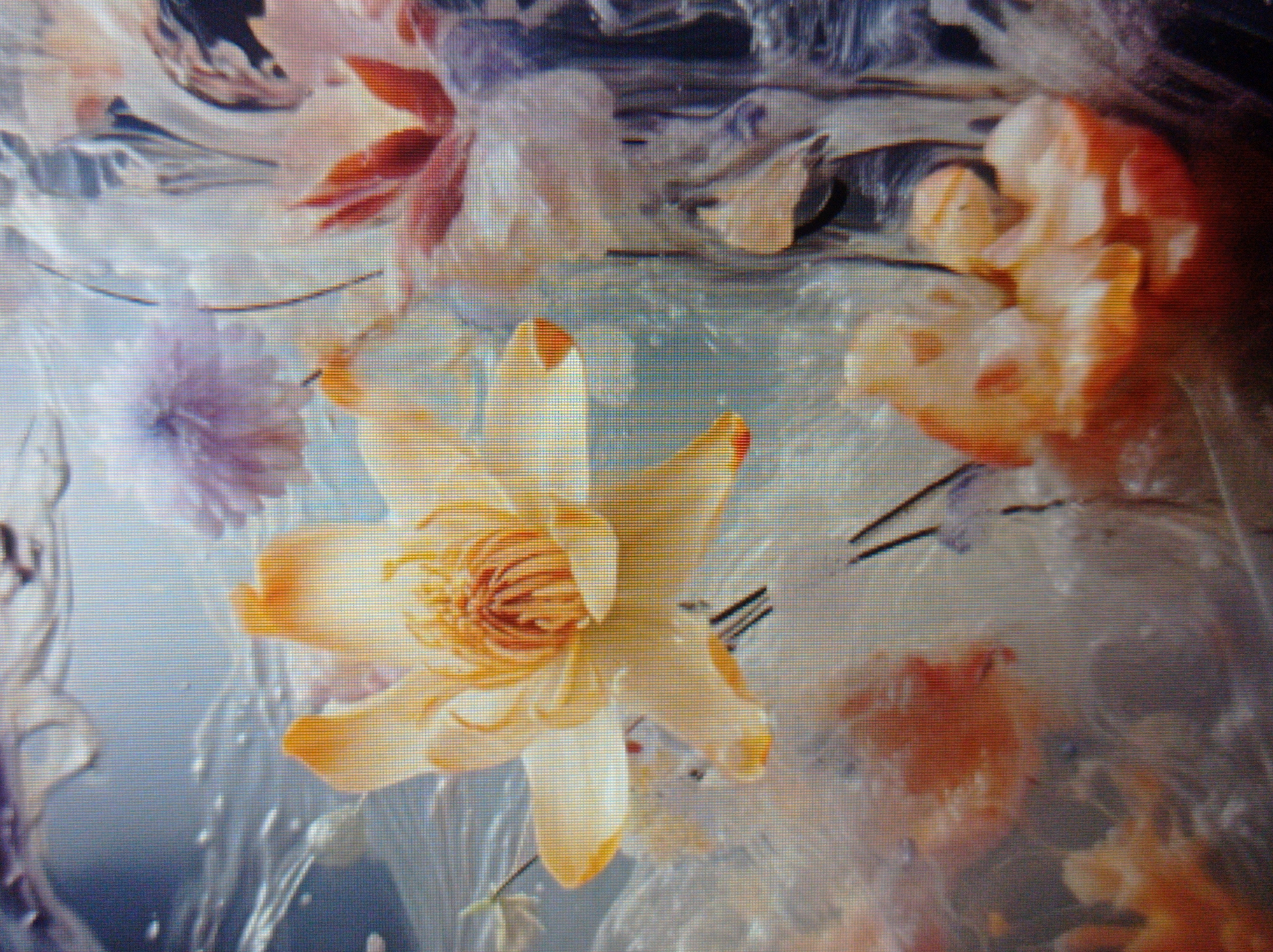 The image is a close-up, abstract depiction of flowers suspended in a liquid medium, possibly water or resin. The colors are soft and pastel, with prominent yellow, orange, pink, and purple hues. The flowers appear to be artificial or heavily stylized. The texture is somewhat blurry, suggesting a shallow depth of field or a painterly effect. There are no visible landmarks or elements that would indicate a specific location within the city of Mukachevo, Ukraine, or any other city. The scene is static and appears to be a still life or a staged artistic composition.