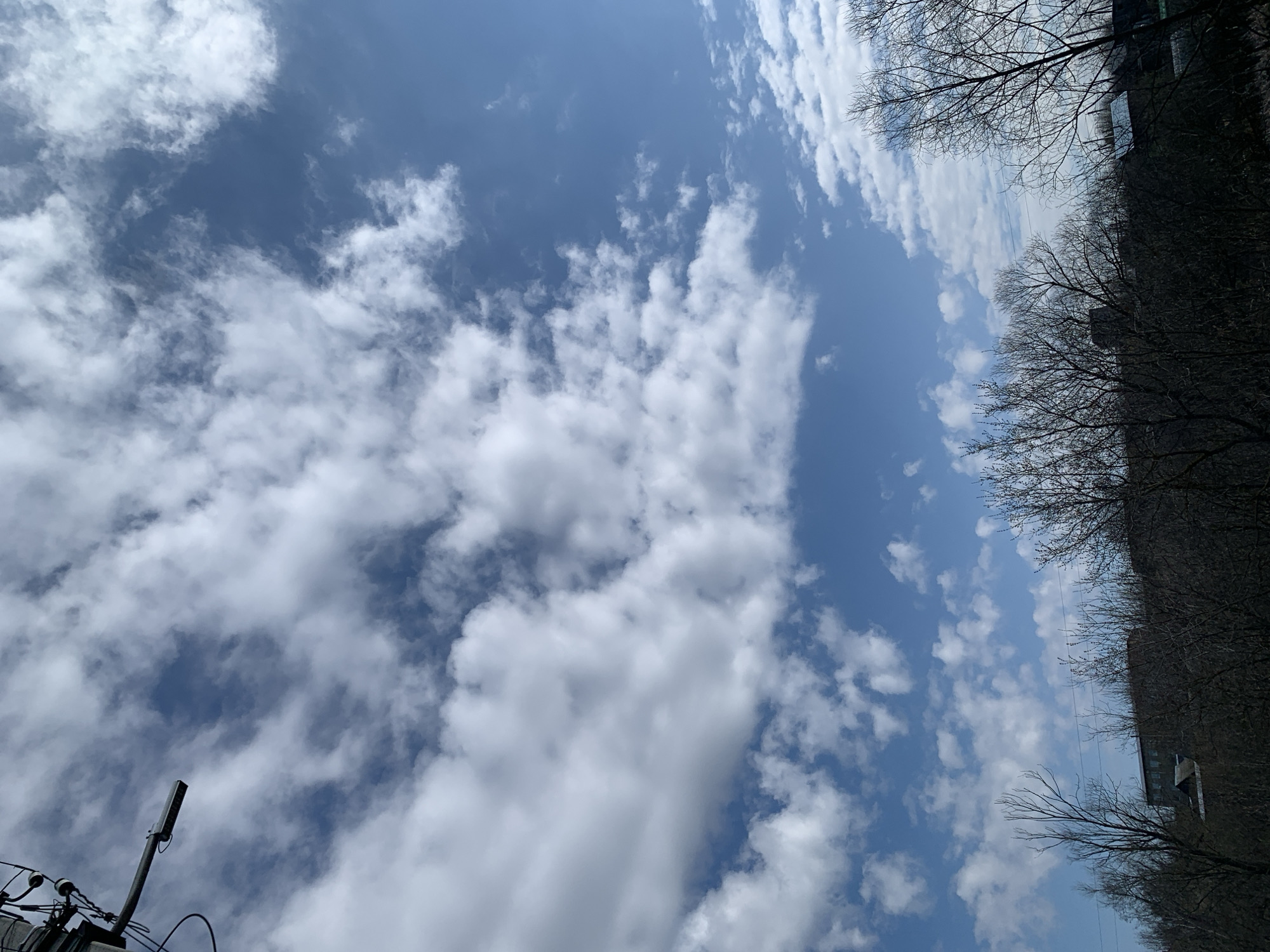 The image is a low-angle shot looking up at a sky filled with cumulus clouds. The sky is blue, with varying densities of white clouds covering a significant portion of the view. Bare tree branches are visible on the right side of the frame. On the left side of the frame, there is a utility pole with wires and some kind of antenna attached to it. The picture appears to have been taken during the day. I don't have information about the location in the city of Фоки, Russia.