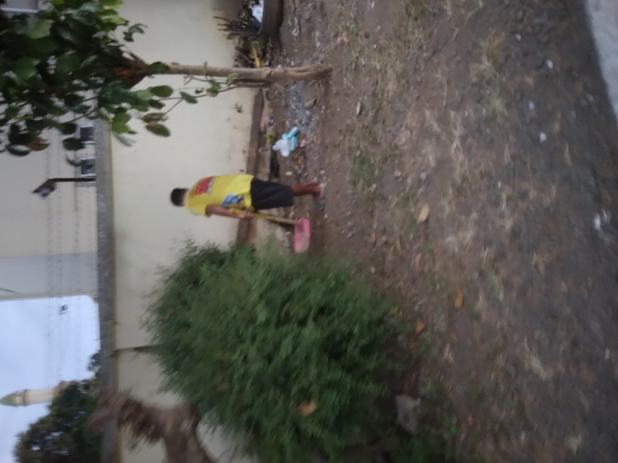 The image depicts an outdoor scene in Desa Pamijen, Kecamatan Sokaraja, Indonesia. A person wearing a yellow shirt and dark shorts is sweeping the ground with a broom and dustpan. To the left of the person is a large, dense green bush. In the background, there is a white wall, a tree with green leaves, and a structure resembling a minaret. The ground is covered with dirt and some debris.