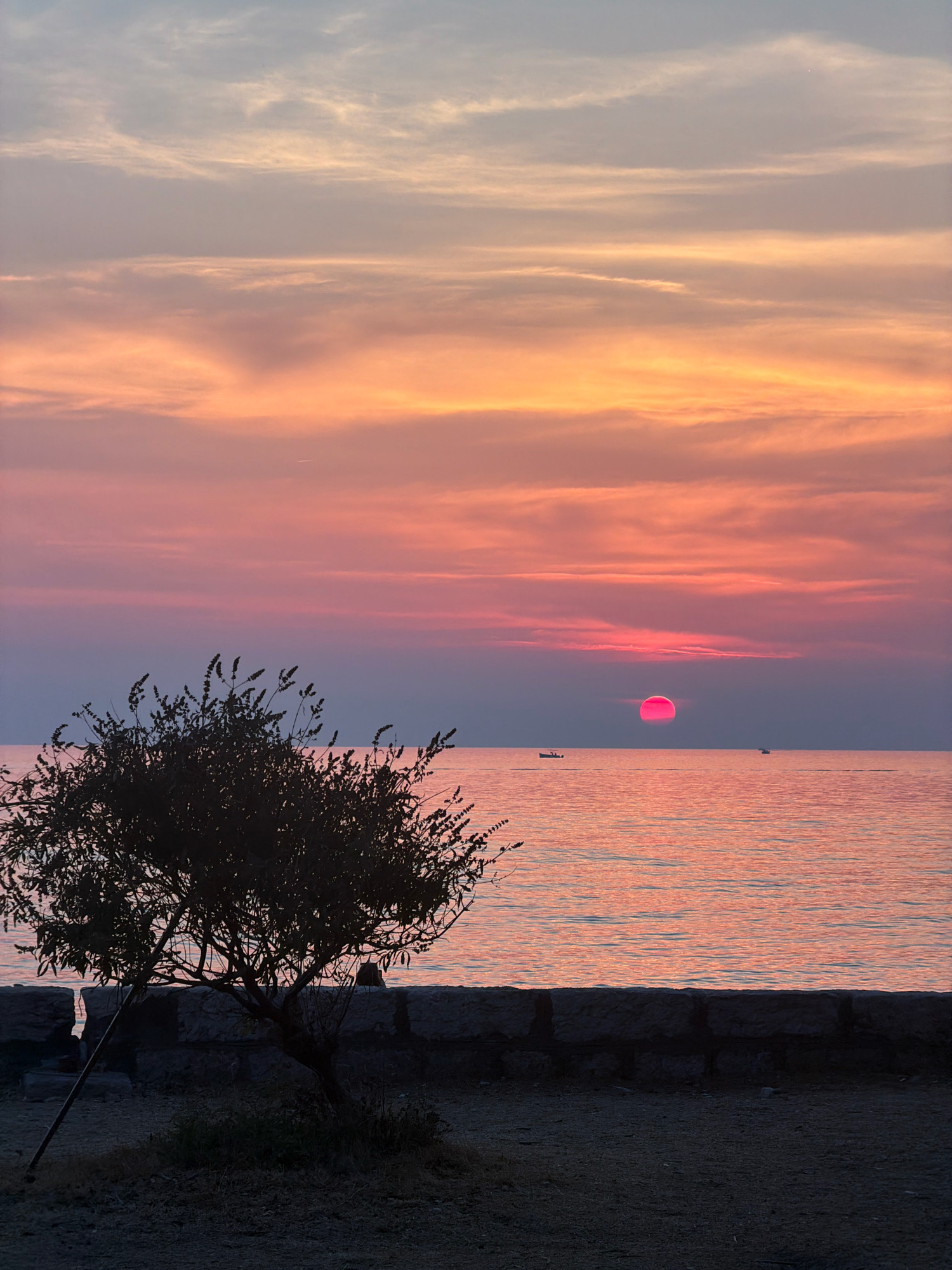 The image captures a serene sunset over the Adriatic Sea, as viewed from the promenade in Bar, Montenegro. The sky is a gradient of soft pinks, oranges, and blues, with wispy clouds streaking across the horizon. The sun, a vibrant pink orb, is partially submerged in the water, casting a shimmering reflection. In the foreground, the silhouette of a small, bushy tree stands against the colorful backdrop. The sea is calm, with gentle ripples reflecting the hues of the sky. A stone wall runs horizontally across the middle ground, separating the promenade from the water's edge. Two small boats are visible in the distance, adding a sense of scale to the vastness of the seascape. The overall atmosphere is peaceful and tranquil, evoking a sense of natural beauty.