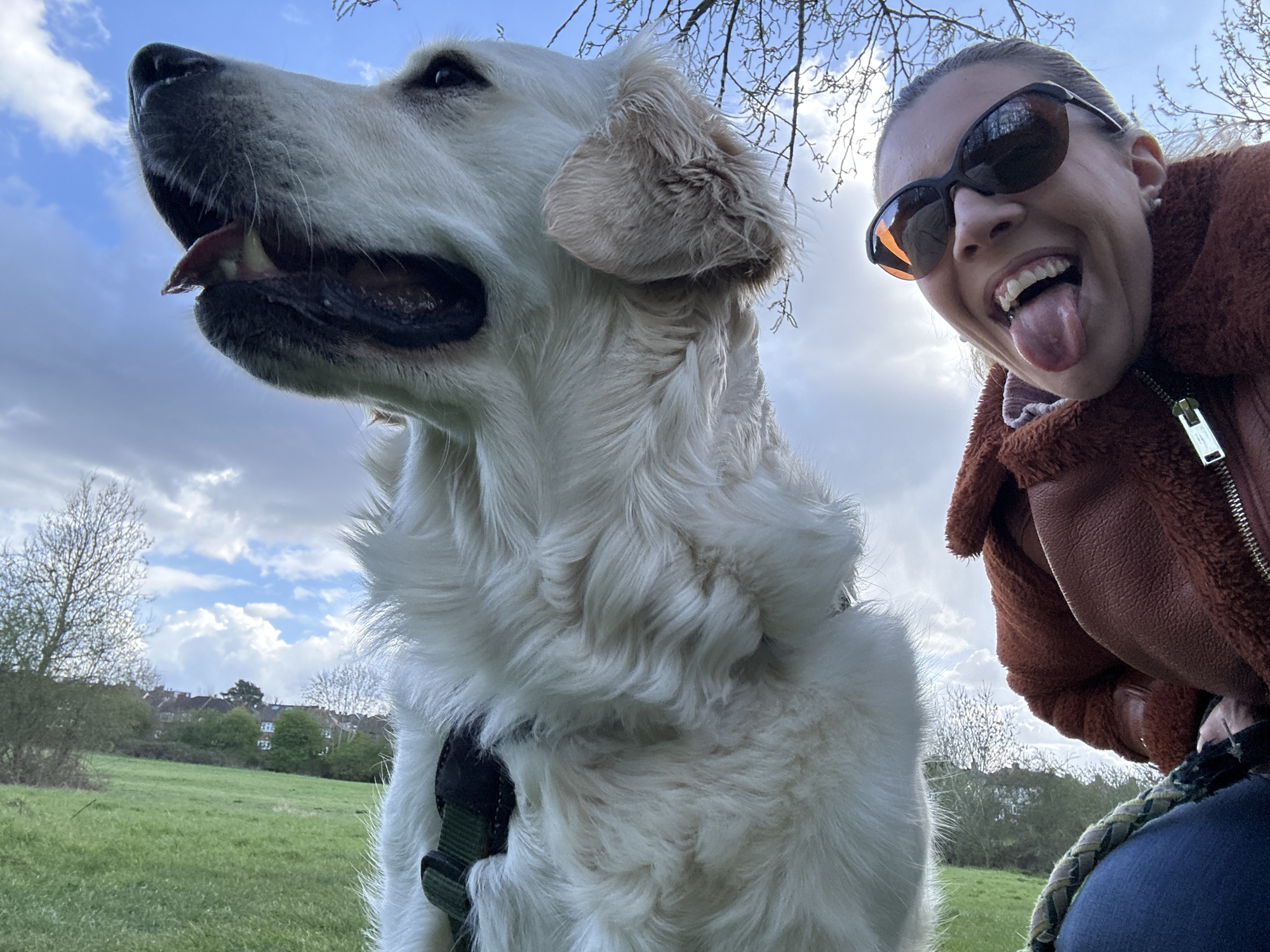 A low-angle, eye-level photograph captures a cream-furred Golden Retriever dog and a female individual in an outdoor, grassy park environment. The dog occupies the left and central foreground, depicted in profile, facing left with its head slightly raised. Its mouth is partially open, revealing a pink tongue. A dark green harness is visible around its chest. To the right of the frame, the female individual is partially visible, wearing dark sunglasses that reflect the sky, and an orange-brown faux shearling jacket with a metallic zipper. She looks directly at the camera with a wide smile, her tongue extended. A braided strap or leash is partially visible on her shoulder. The background consists of a large green field under a partially cloudy blue sky. Deciduous trees with bare branches and some with green foliage are present, with residential buildings visible through and above the trees in the distance. The scene is set in a park or green space within London, United Kingdom, adjacent to a residential area.