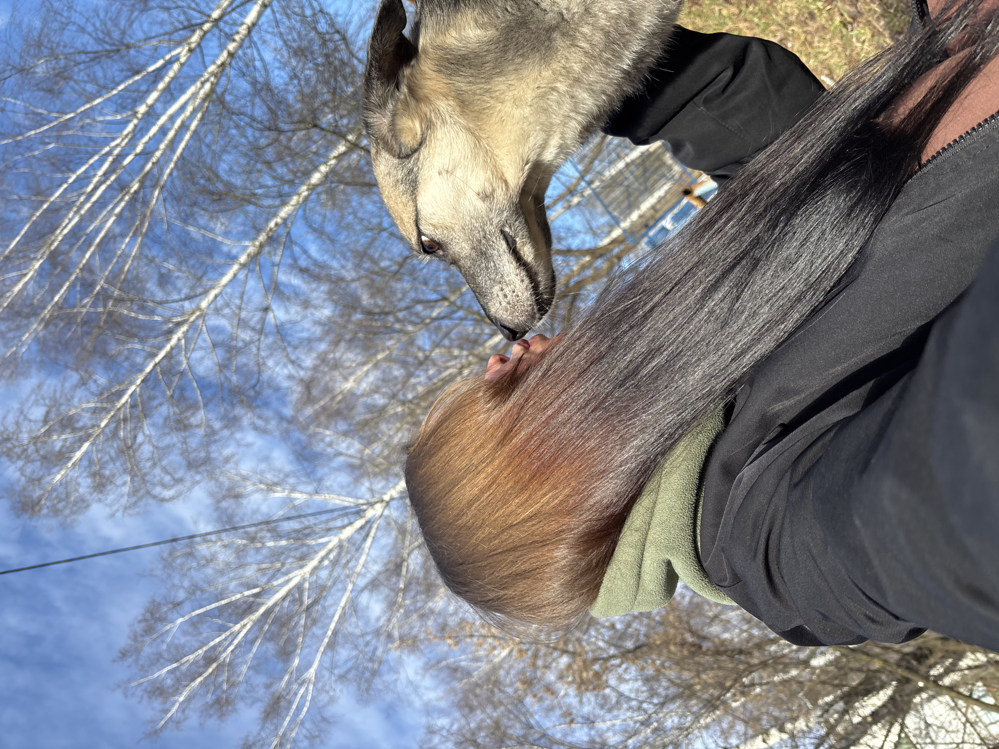 A light-colored dog with grey and tan fur is licking the forehead of a person with brown roots and black hair, who is wearing a green fleece underneath a black jacket. The photo is taken from a low angle, looking up at the dog and person, with bare tree branches and a blue sky with light clouds visible in the background. The photo may have been taken in Izhevsk, Russia, but the location is not discernible from the image itself.