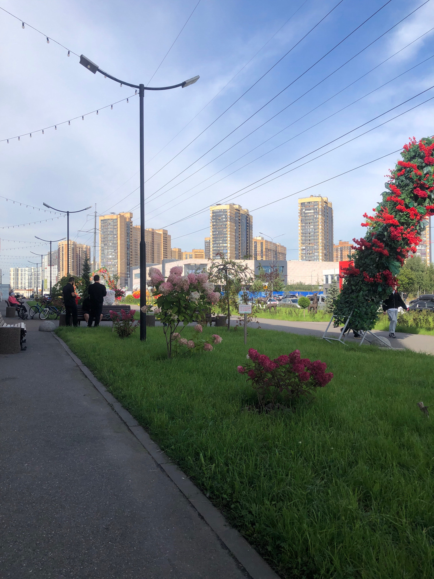 The image captures a street scene in Pargolovo, Russia, with a backdrop of modern residential buildings. In the foreground, a paved pathway runs alongside a lush green lawn. Several people are visible, including a group of three men in dark clothing standing near a park bench on the pathway, and a person walking past a large, ornate floral archway on the right side of the frame. The floral archway is adorned with abundant red flowers and green foliage. Streetlights with decorative string lights hang overhead, and power lines crisscross the sky. In the middle ground, a woman is seated on a bench with bicycles nearby. The environment appears to be a public urban space, possibly a park or a pedestrianized area within a residential complex, with a clear sky overhead.