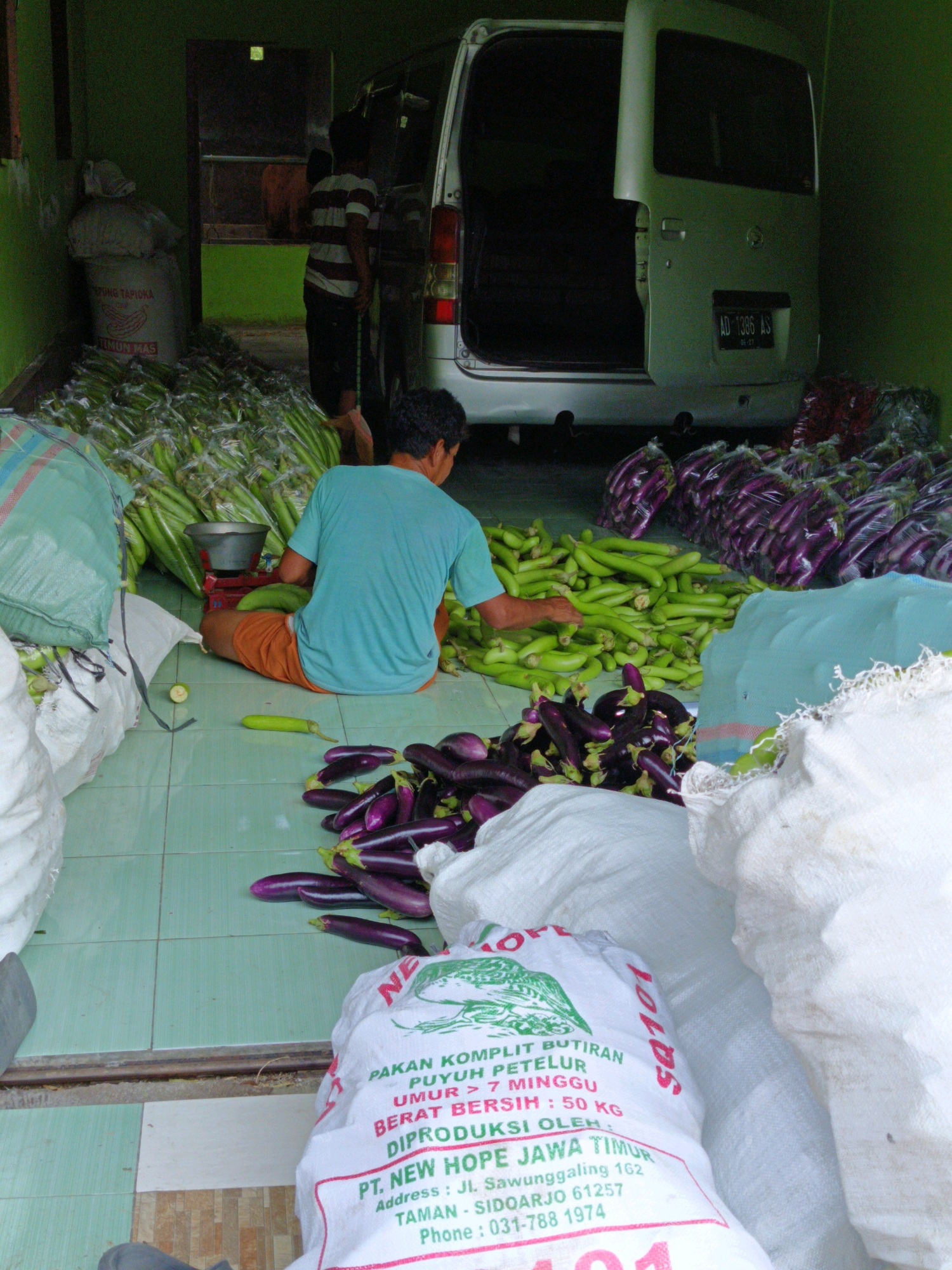 The image depicts an outdoor market or storage area in Manisrenggo, Indonesia. A man wearing a teal shirt and orange shorts is sitting on the floor, sorting through a large pile of green vegetables that appear to be long beans. Beside him is a red and silver scale. In the foreground, there are large white sacks, one of which has text printed on it in Indonesian, indicating it contains "PT. NEW HOPE JAYA TIMUR." To the right of the man, there are piles of purple eggplants. In the background, a light-colored van with its rear doors open is parked, and a person wearing a striped shirt is visible inside the doorway of a building. The ground is tiled with light green and white squares. The scene suggests a commercial operation involving the distribution or sale of fresh produce.