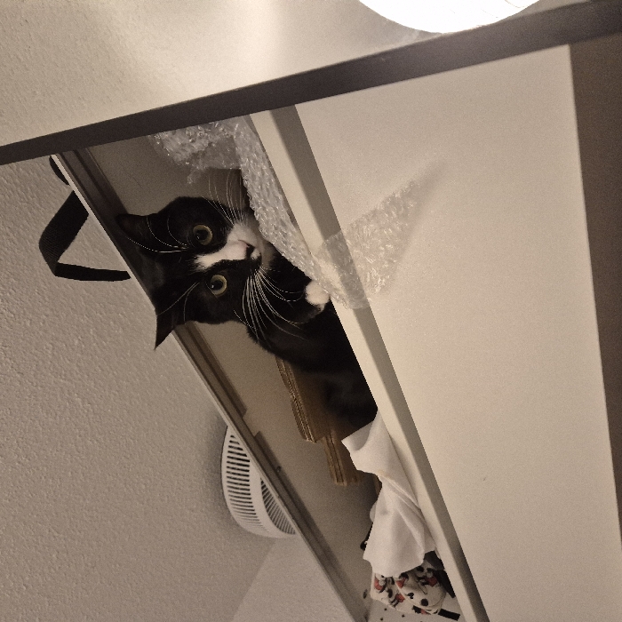 A tuxedo cat peers out from a shelf lined with bubble wrap. Its green eyes are wide, and its white whiskers are prominent against its black fur. A black strap is visible to the left. Below, white and patterned fabrics are draped. The shelf appears to be within a white cabinet, positioned against a white wall.